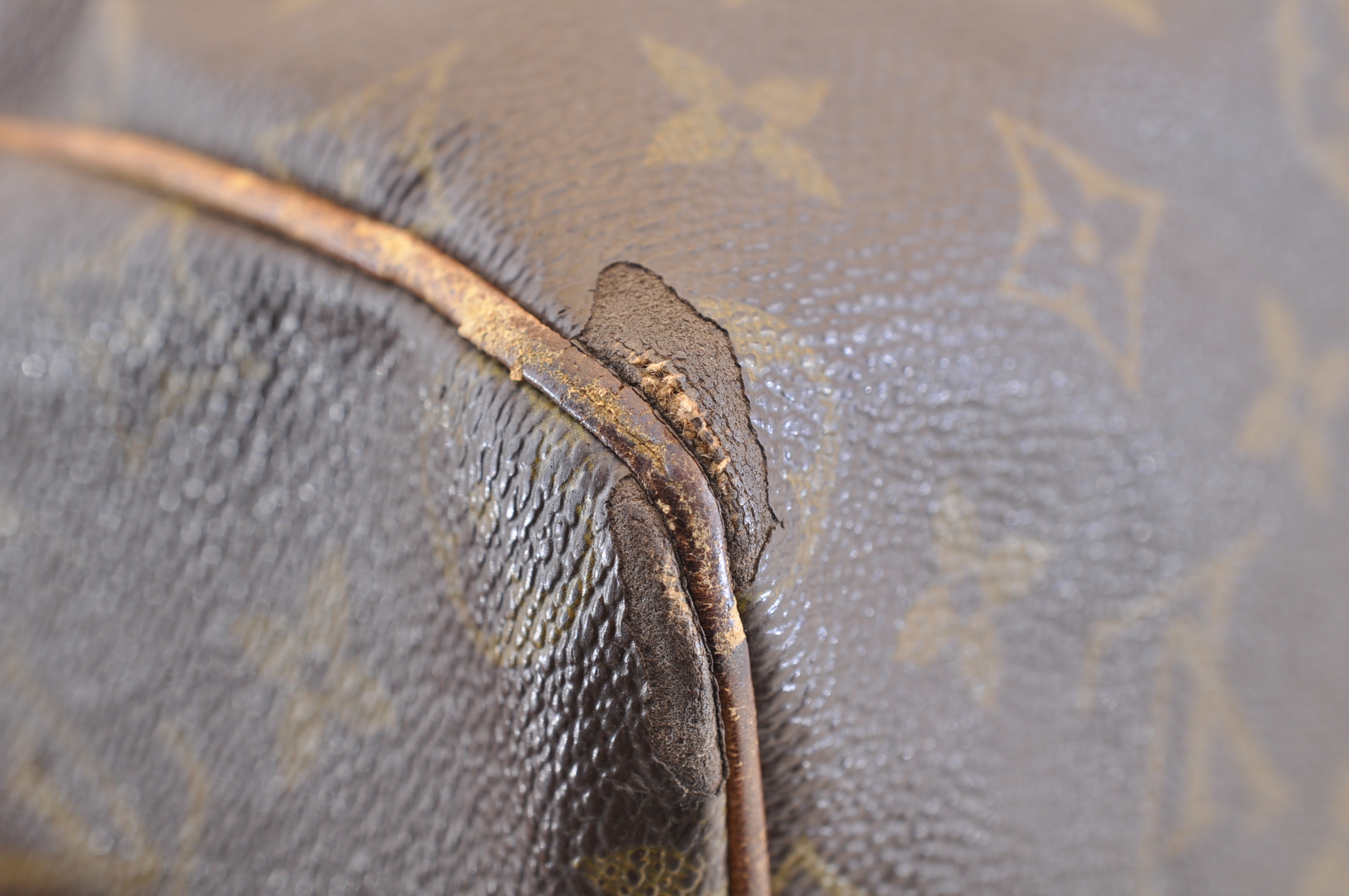 _DSC0016
