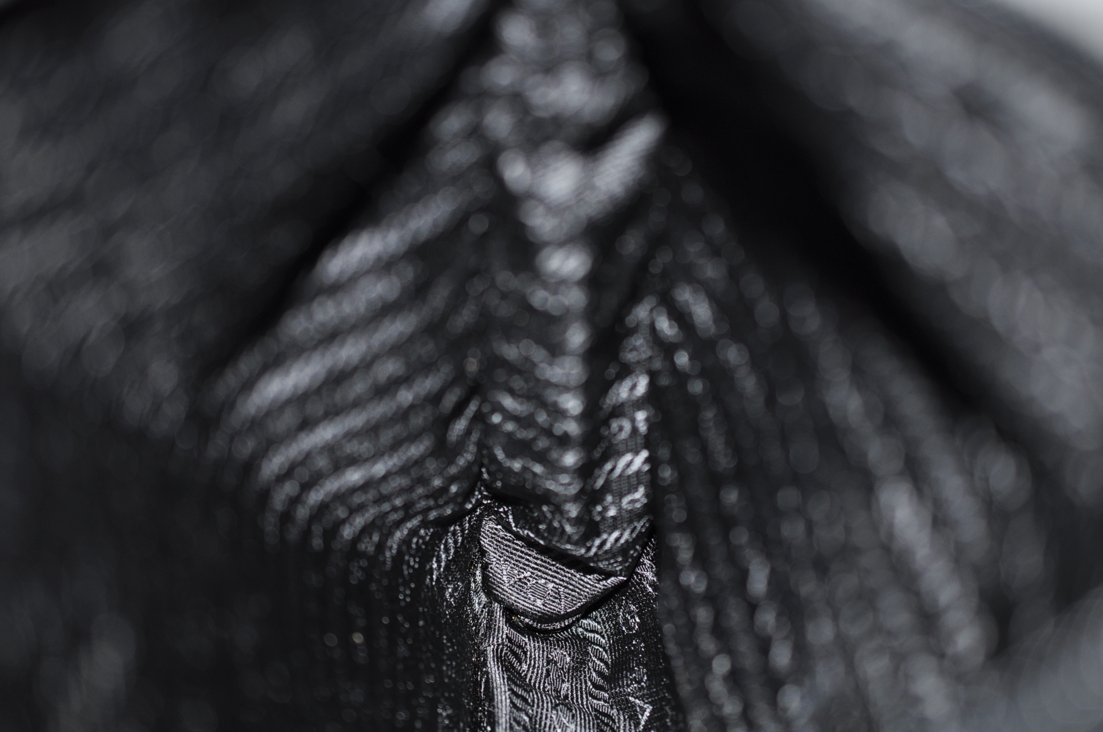 _DSC0018