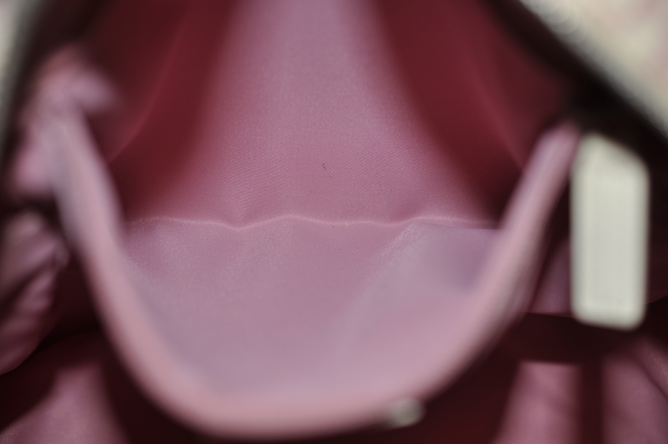 _DSC0089