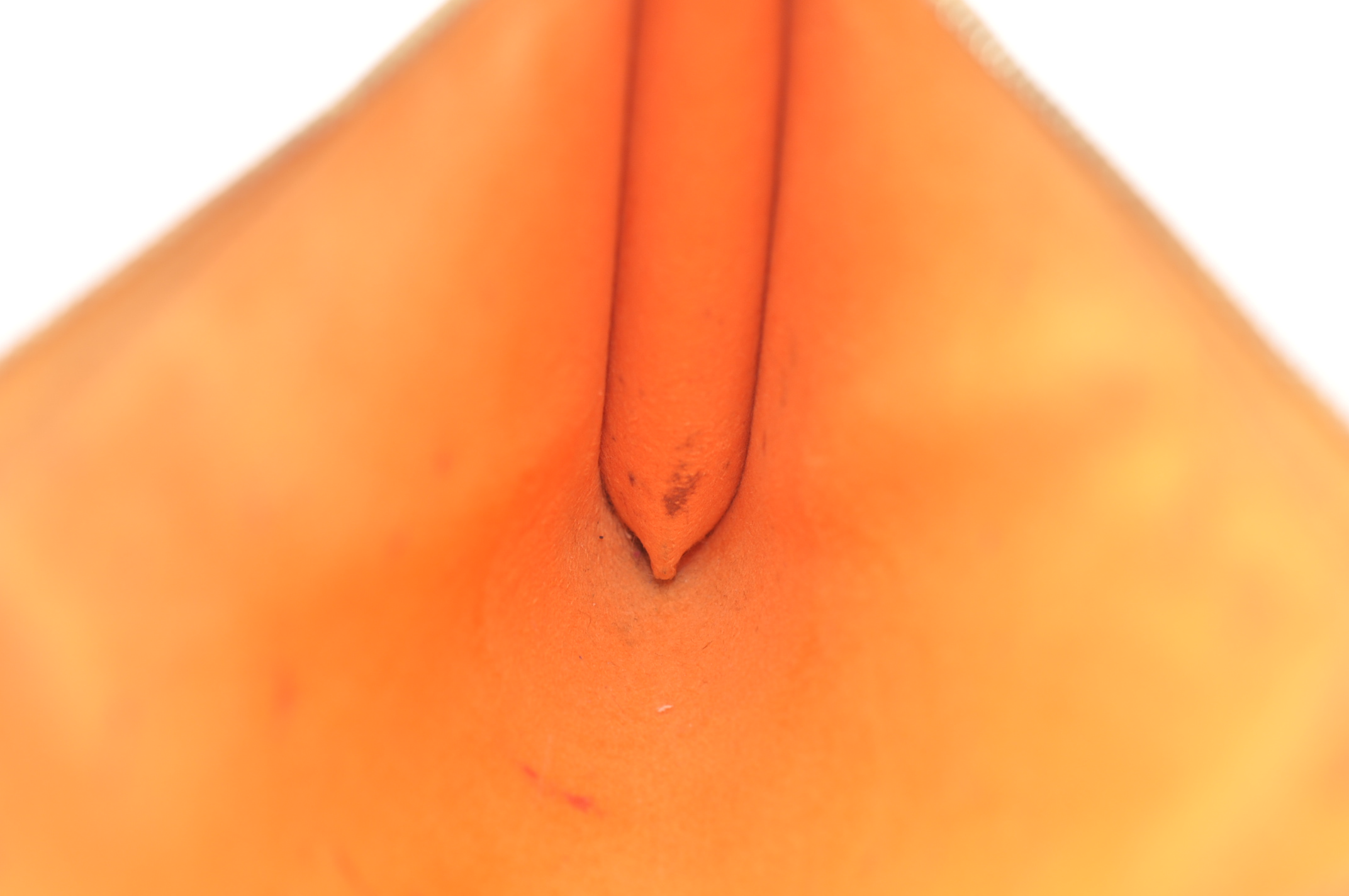 _DSC0143