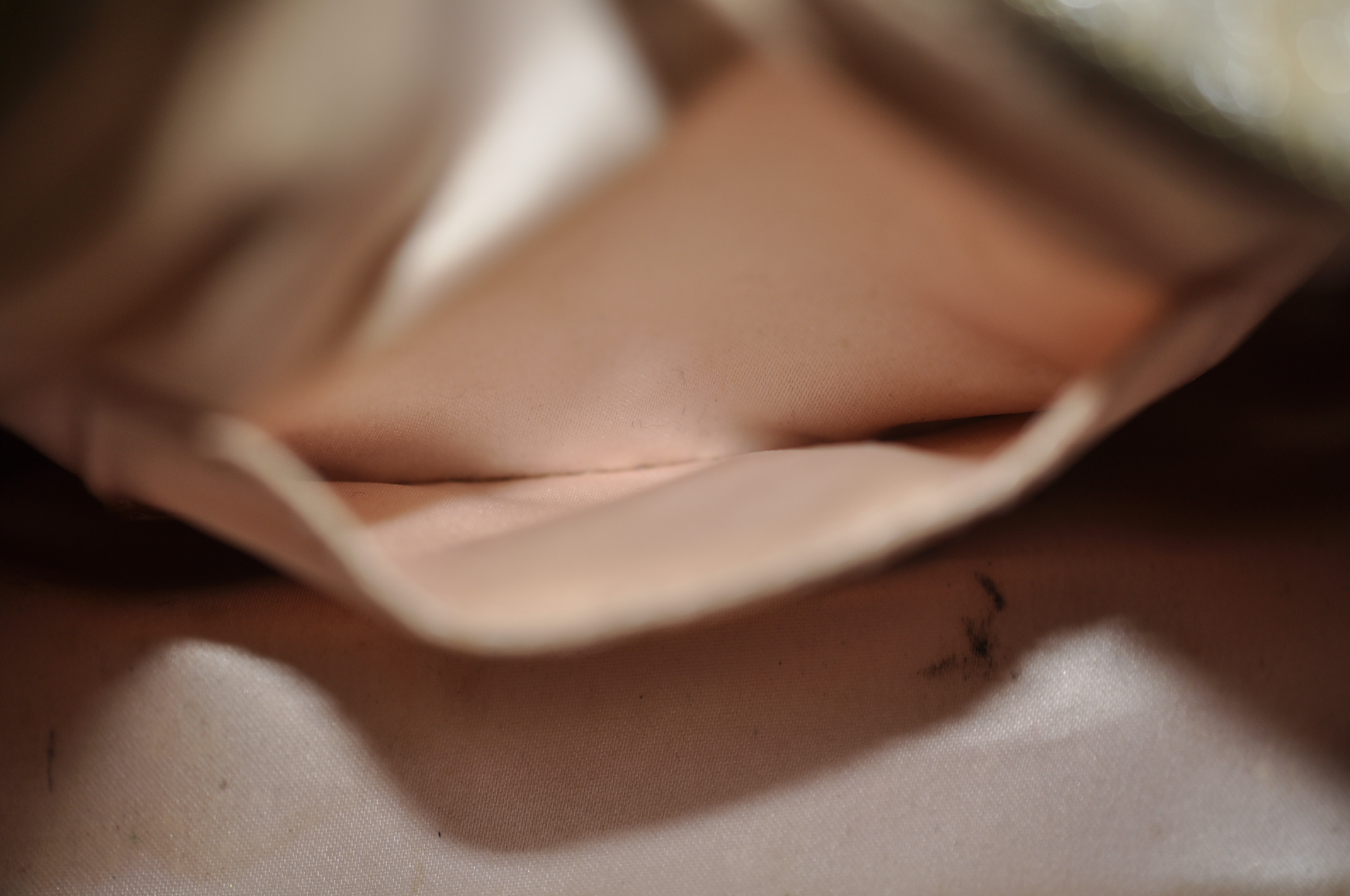 _DSC0194
