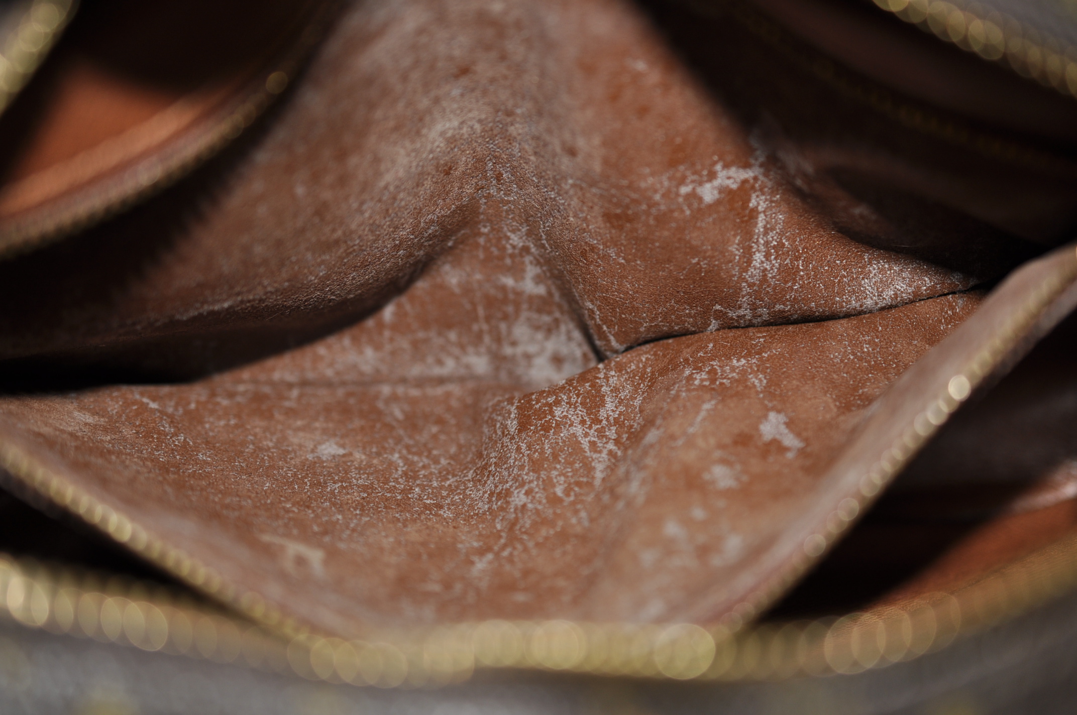 _DSC0211
