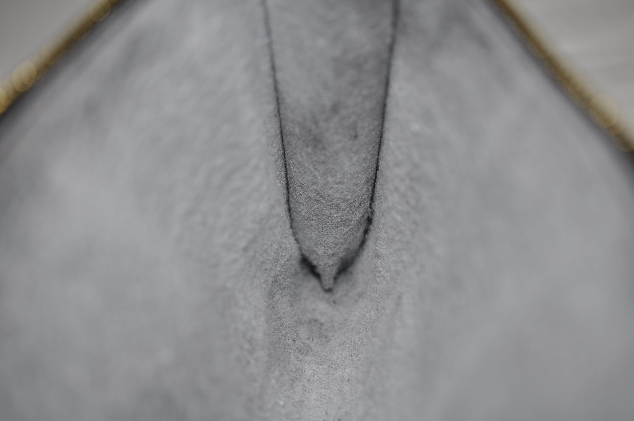 _DSC0291