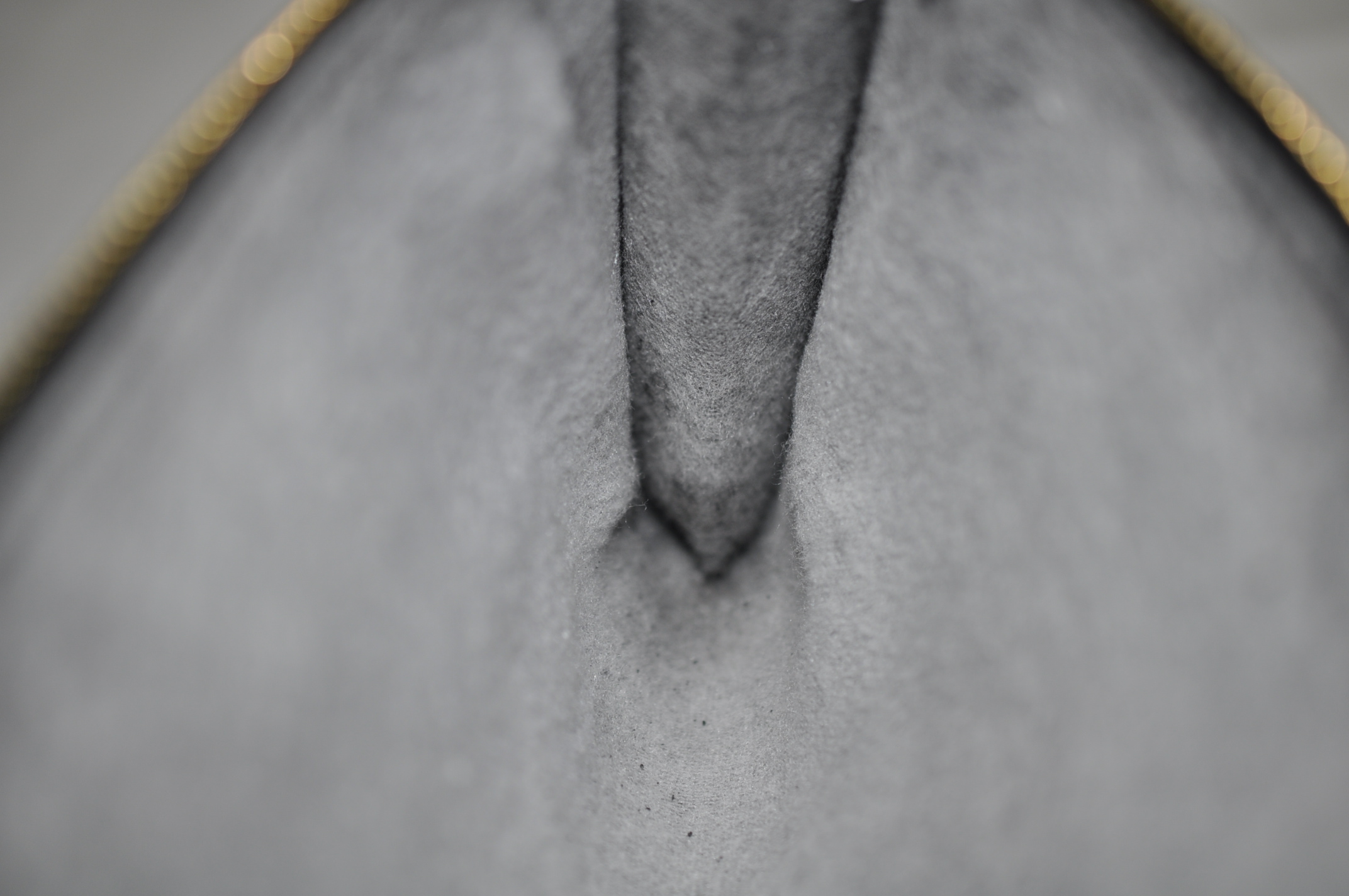 _DSC0292