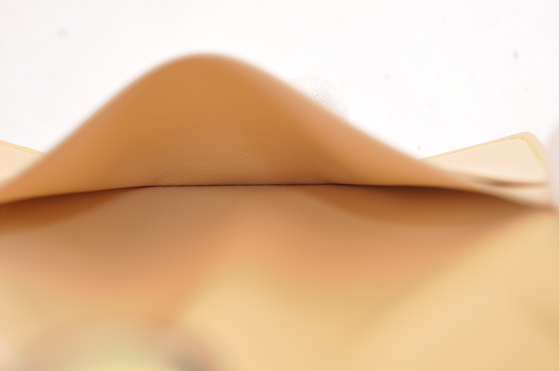 _DSC0313