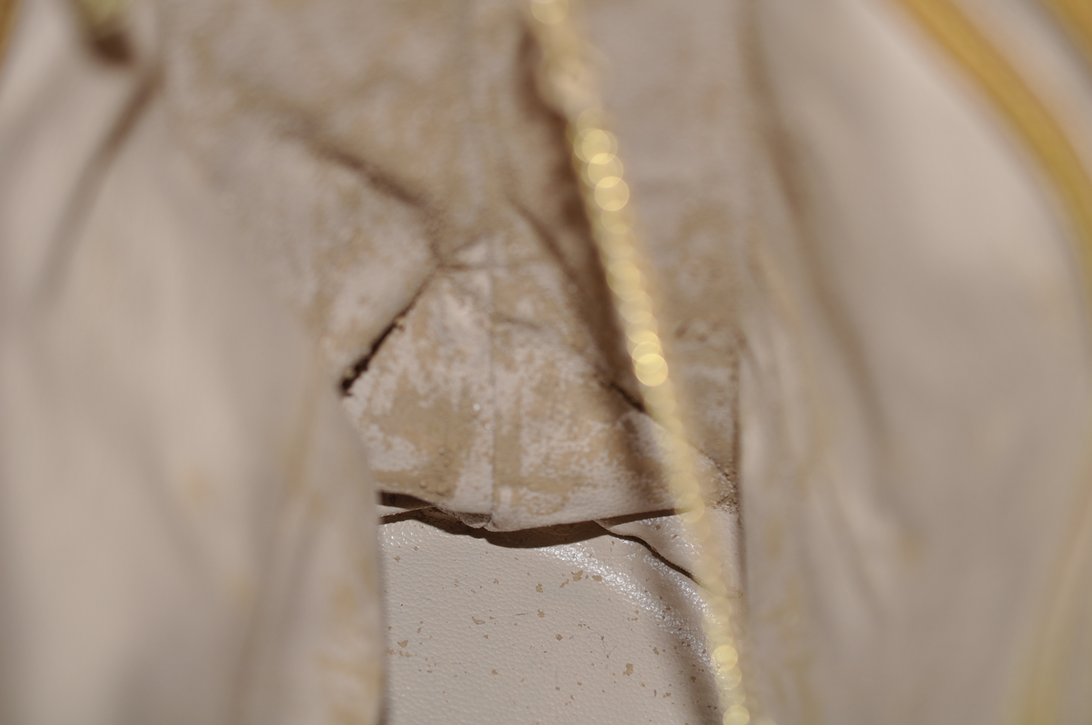 _DSC0316