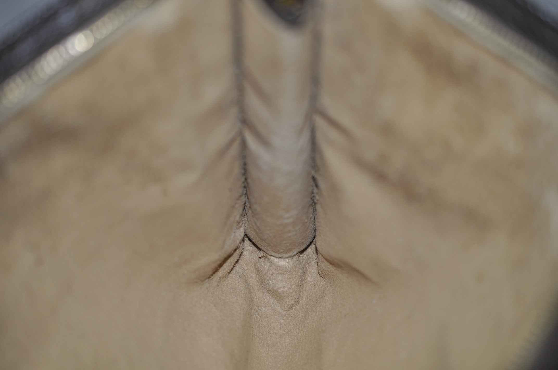 _DSC0349