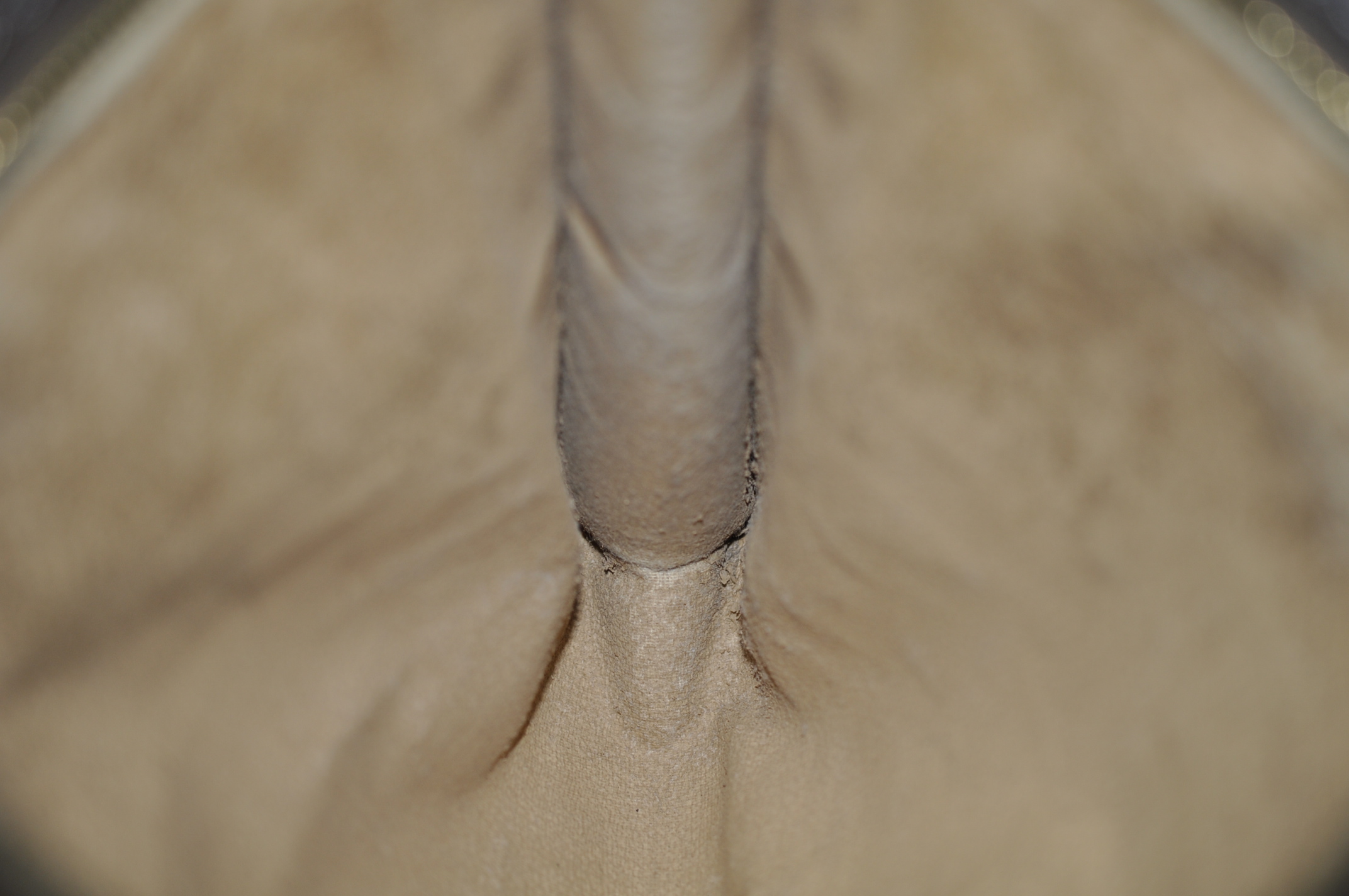 _DSC0350