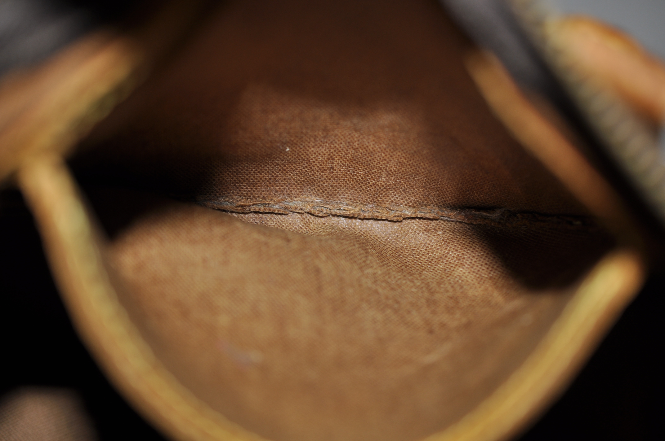 _DSC0356