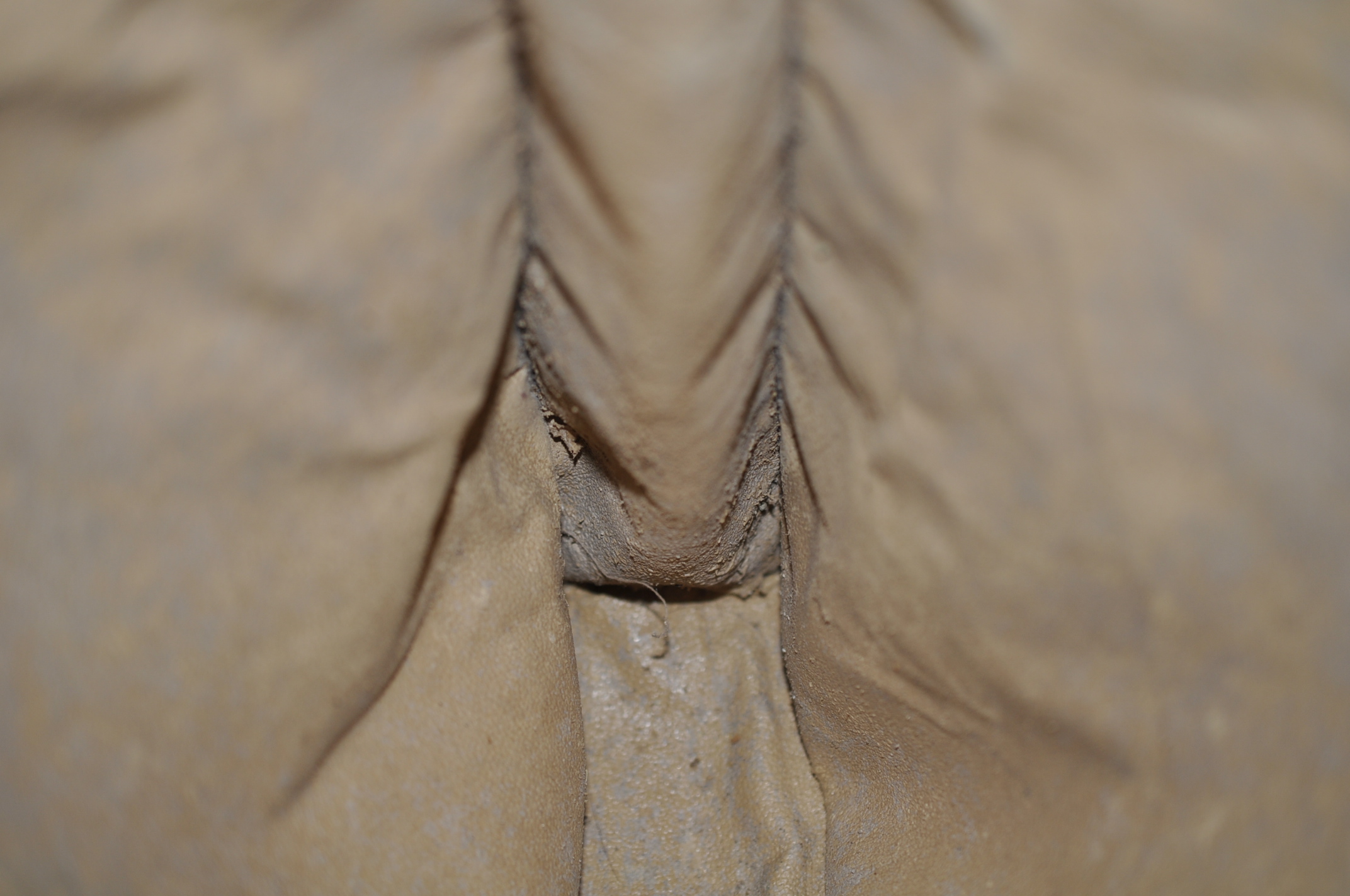 _DSC0414