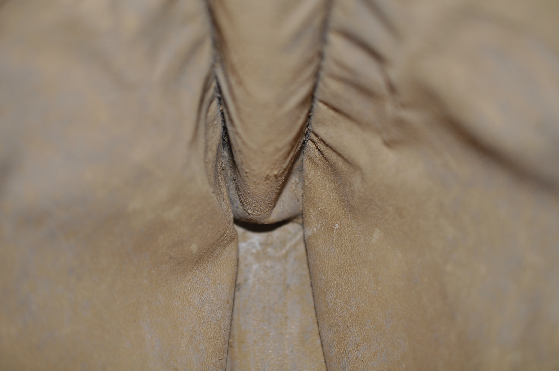 _DSC0415