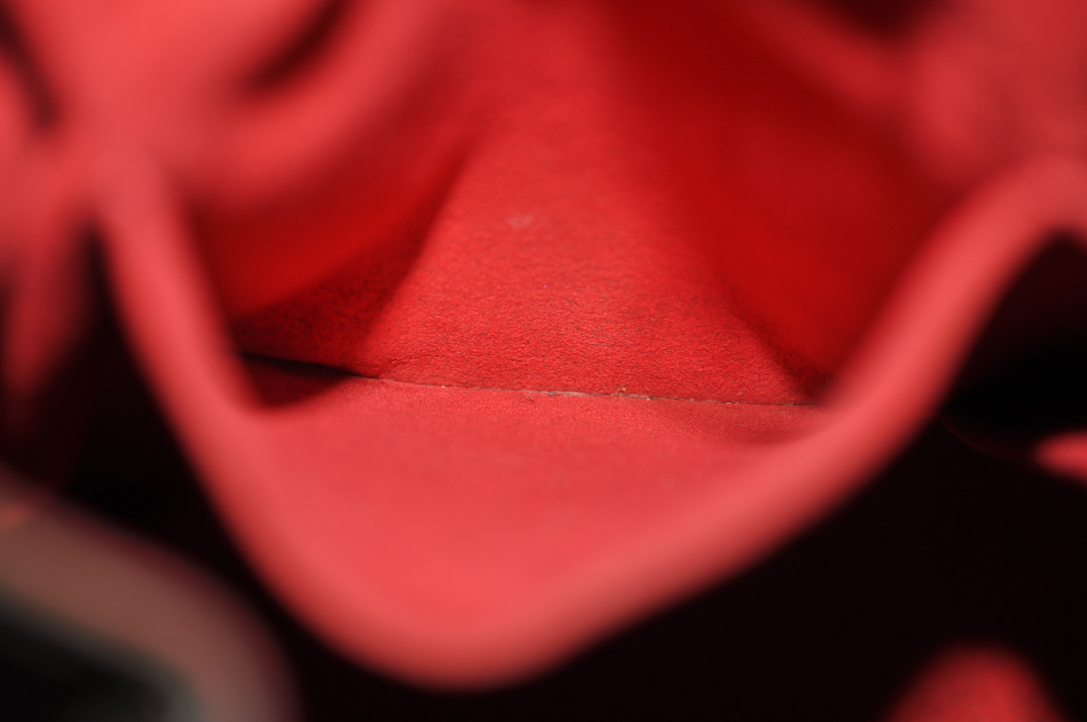 _DSC0020