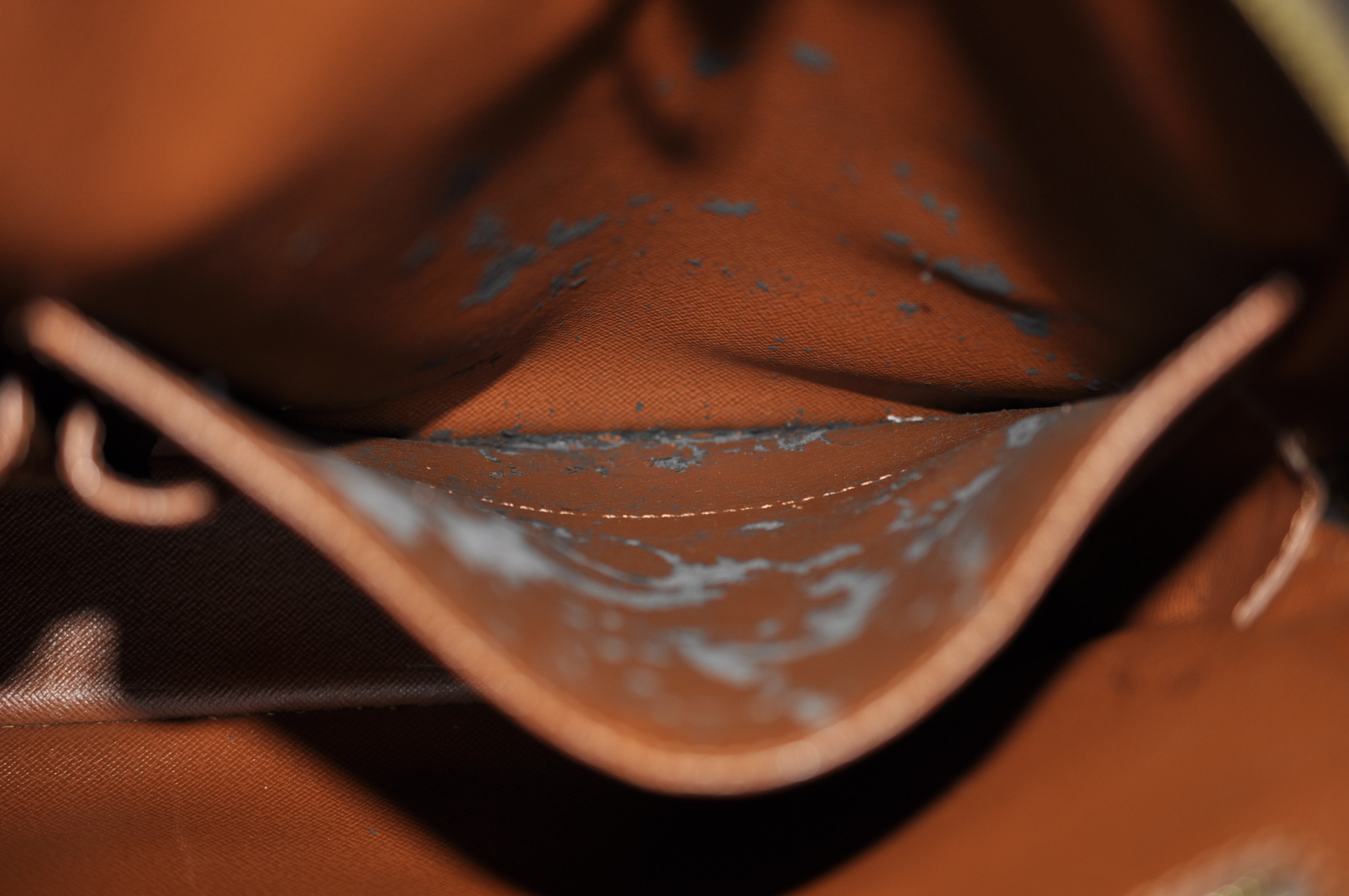 _DSC0053
