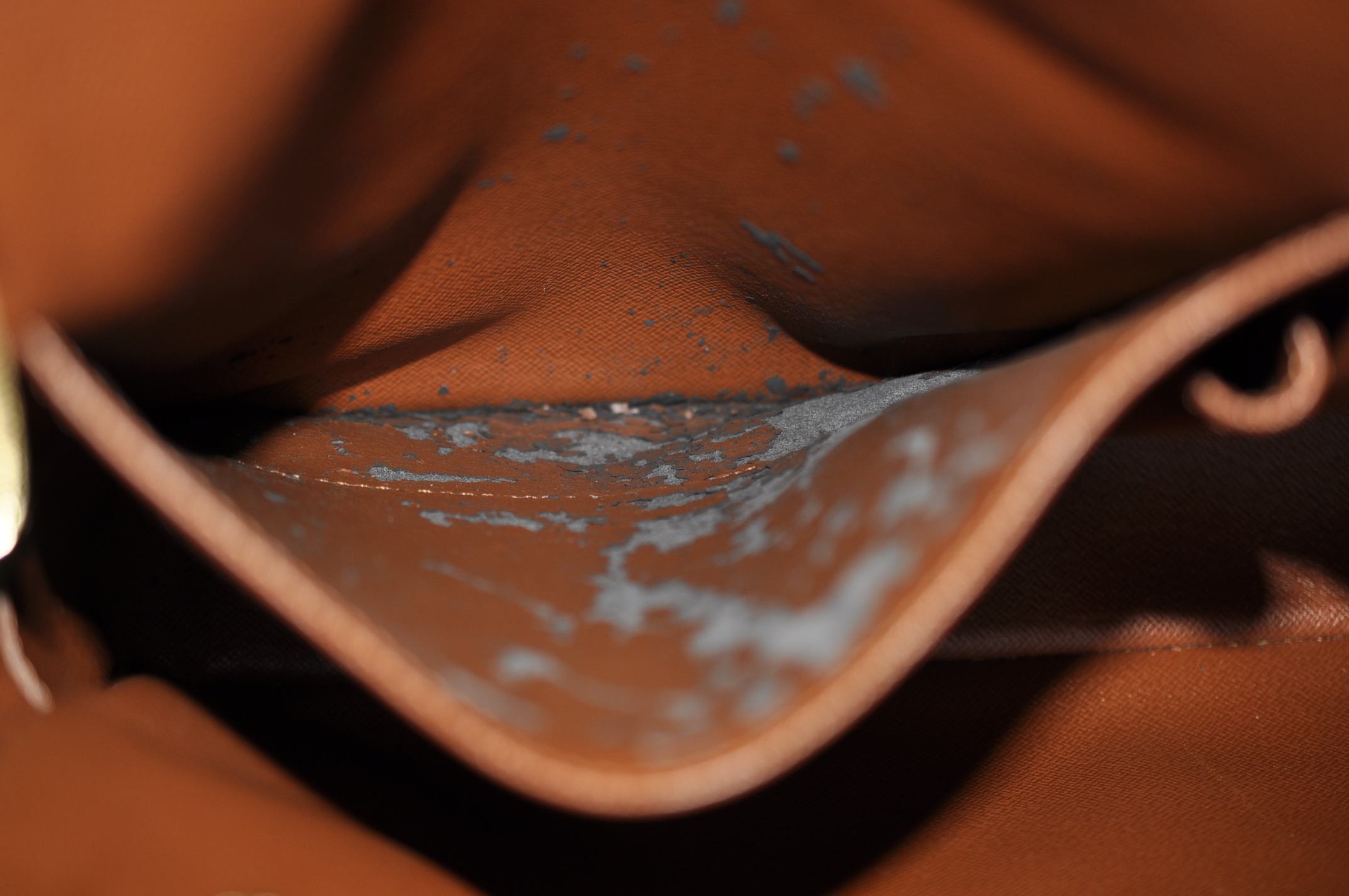 _DSC0055