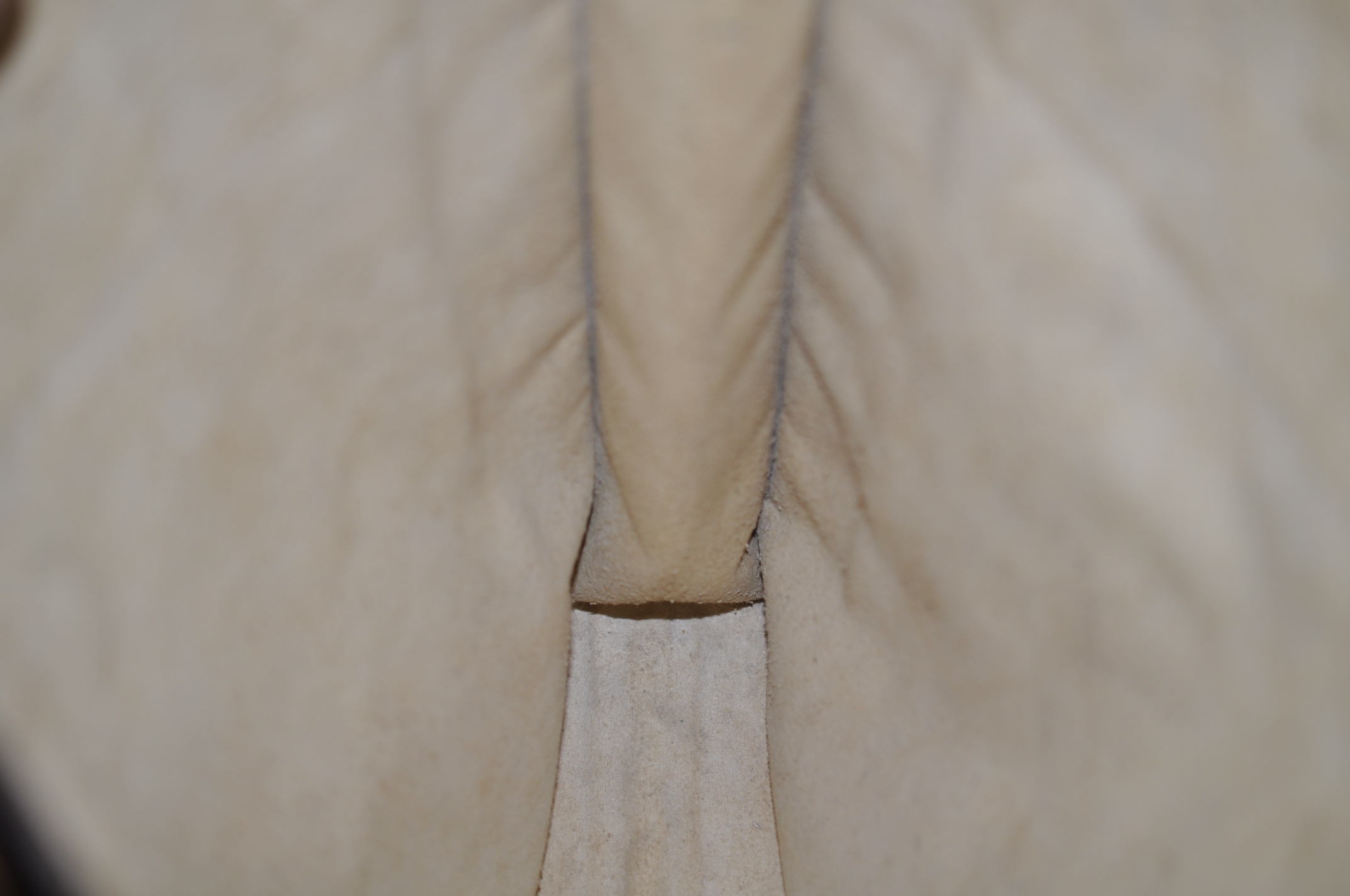 _DSC0099