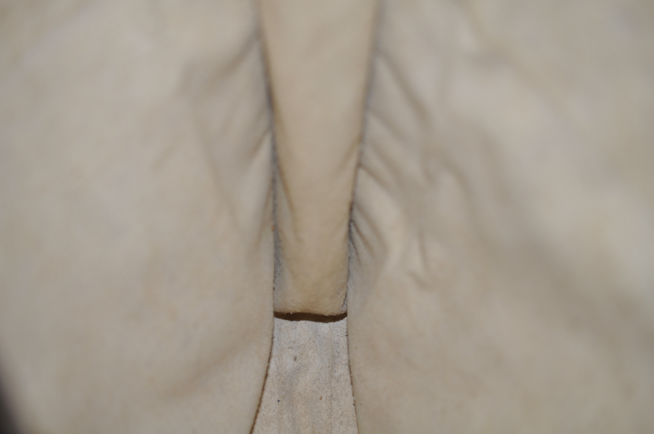_DSC0100