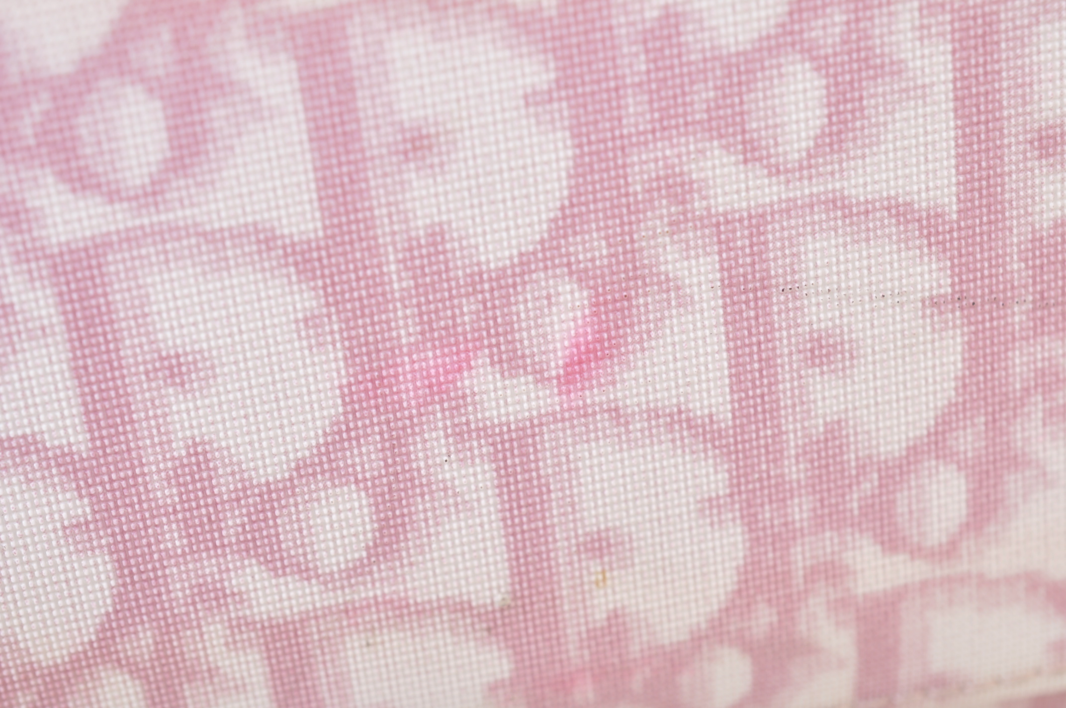 _DSC0180
