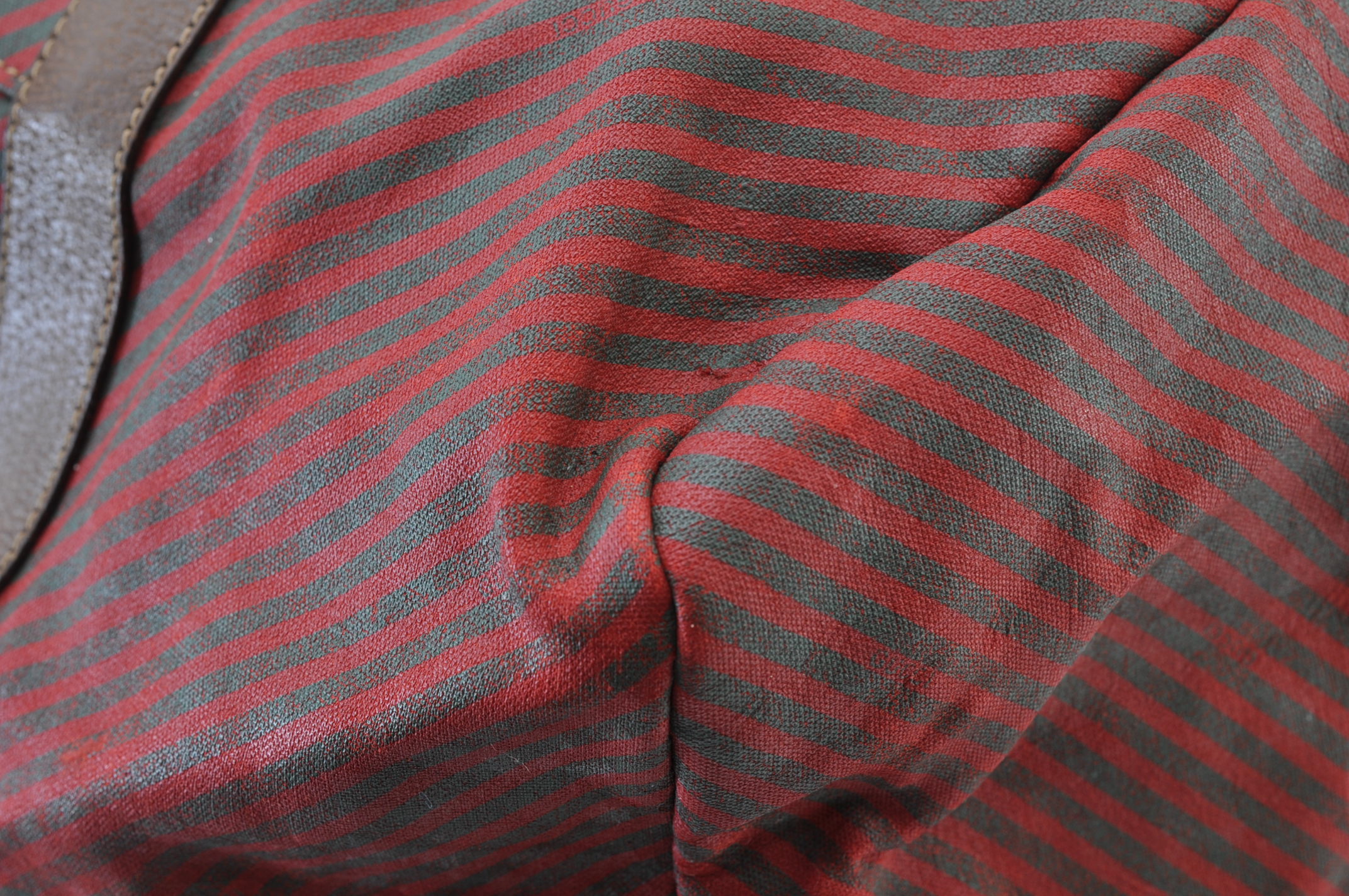 _DSC0195