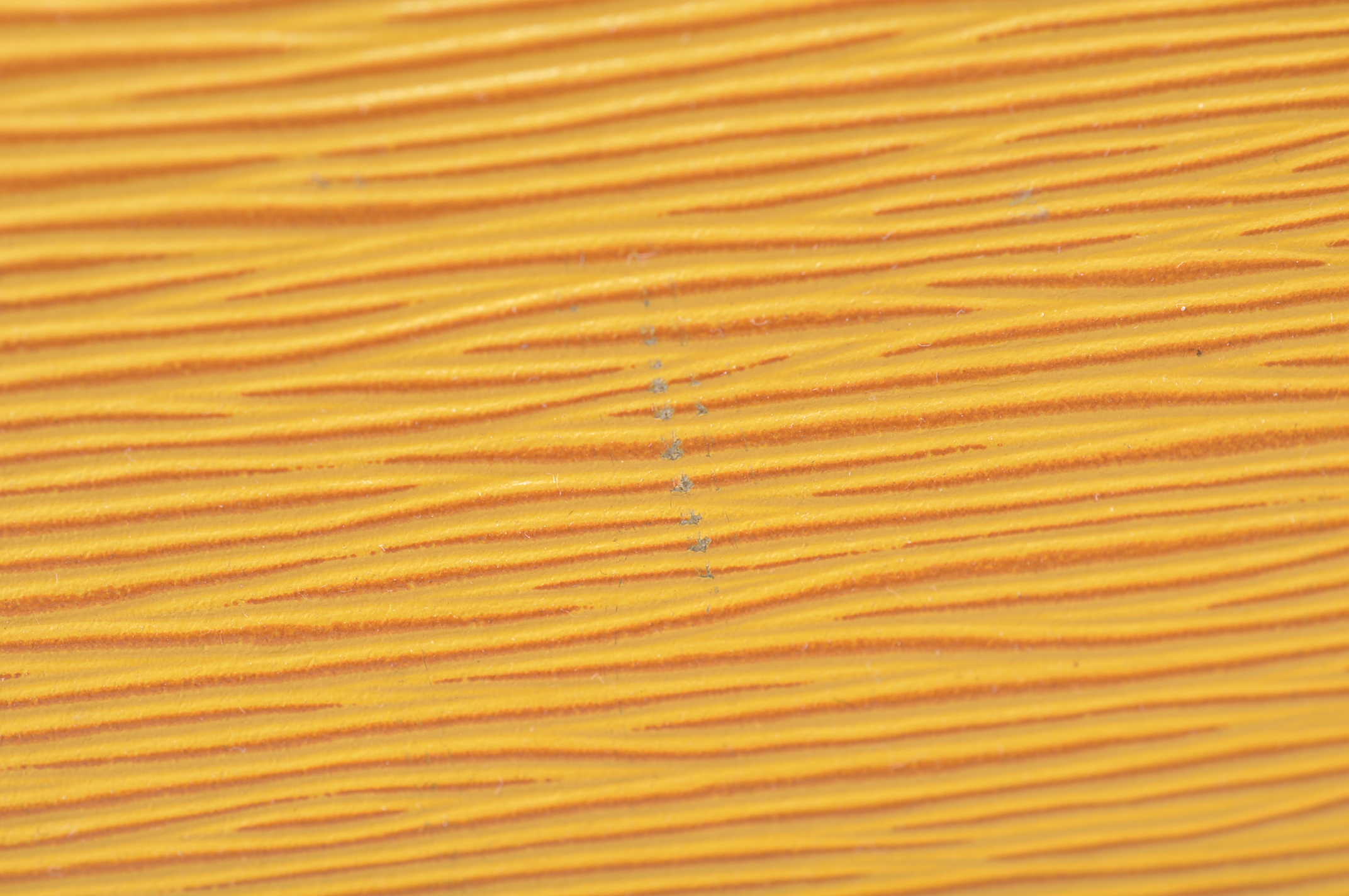 _DSC0238