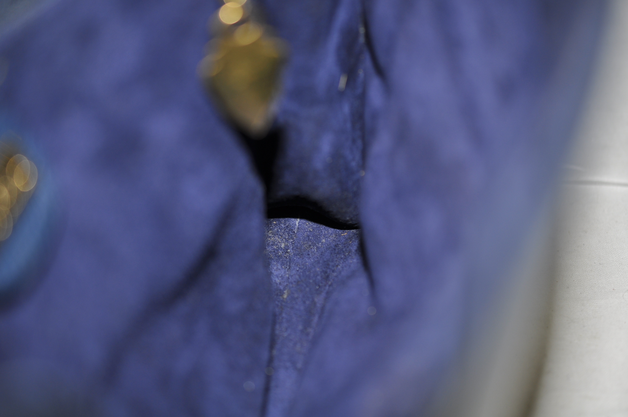 _DSC0247