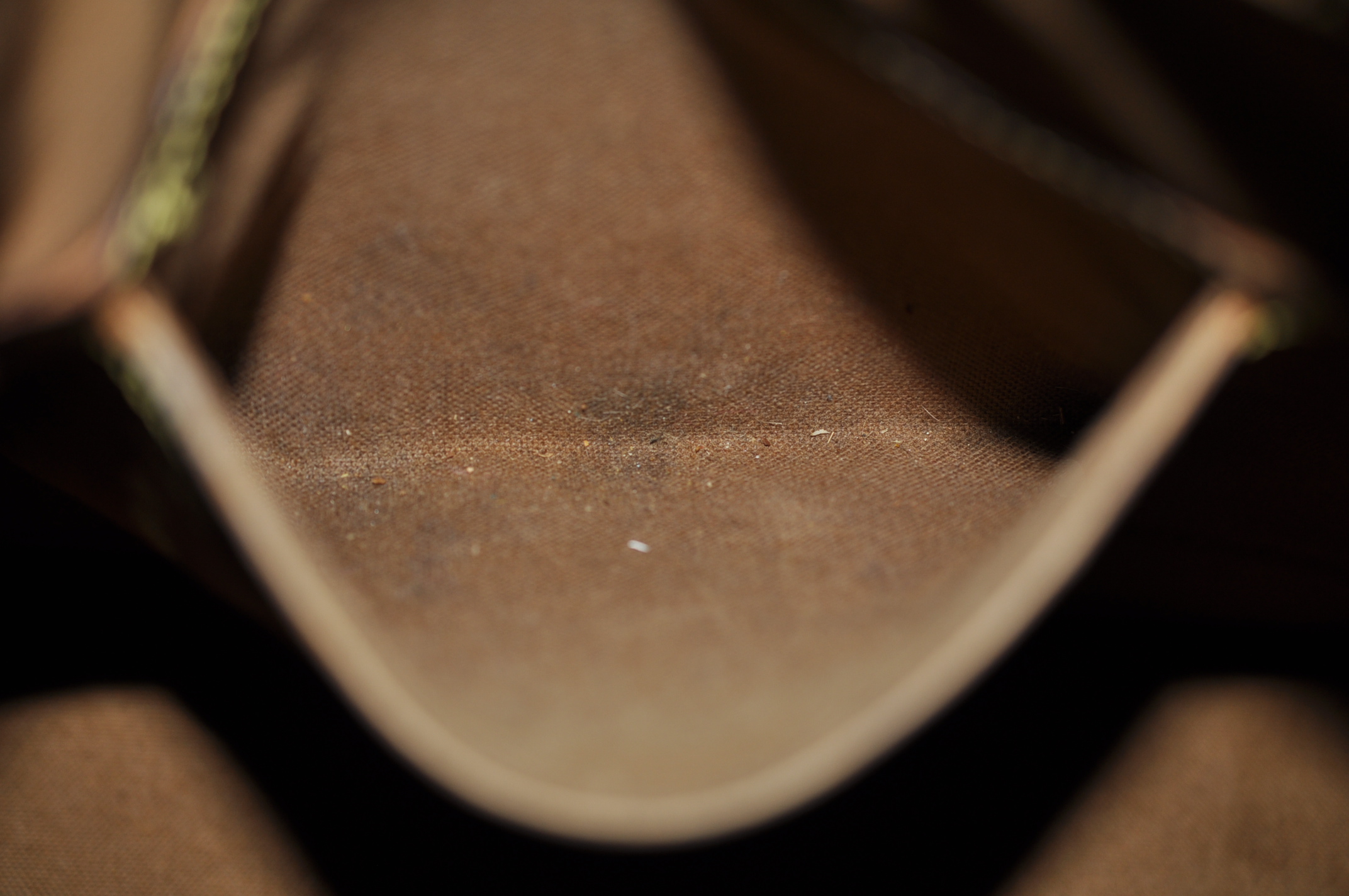 _DSC0249