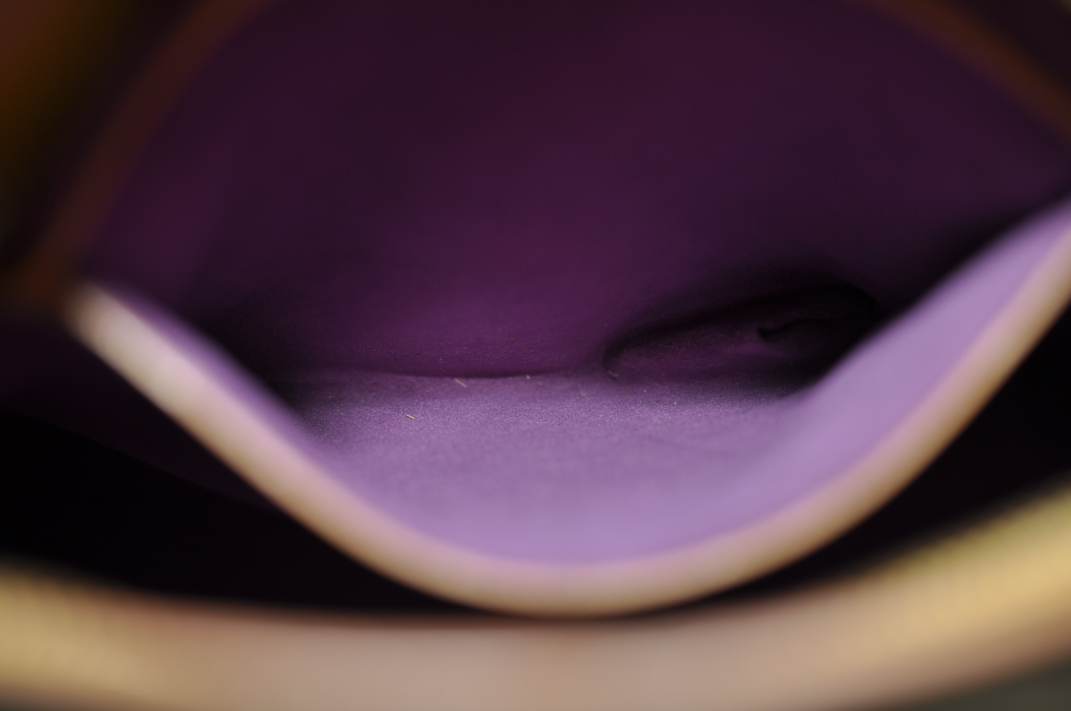 _DSC0255