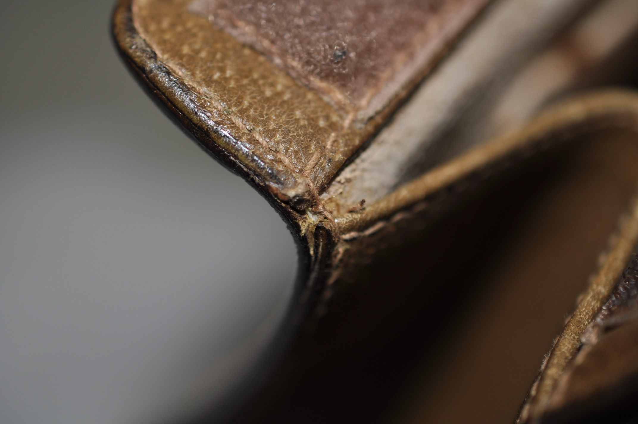 _DSC0272