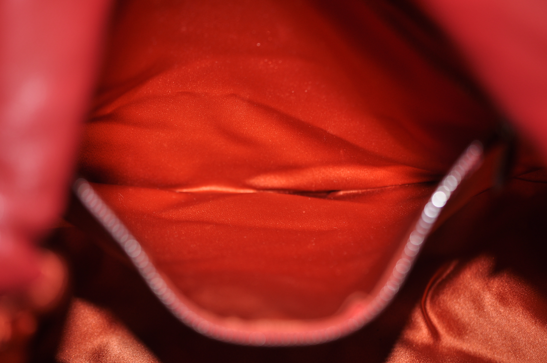 _DSC0351