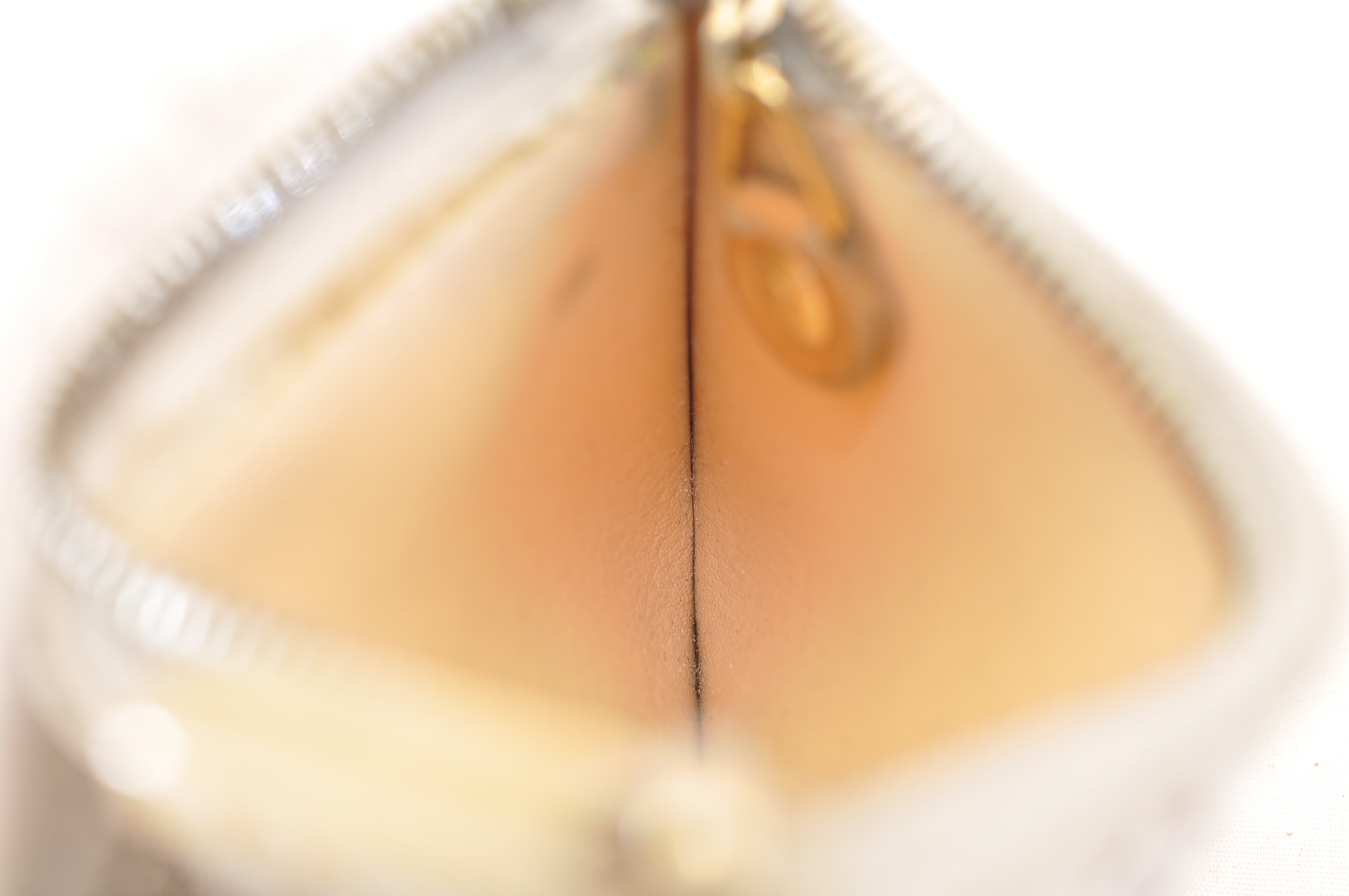 _DSC0386