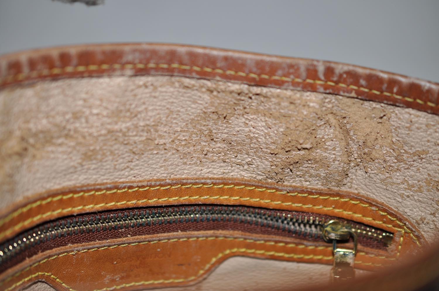 th_DSC_0303