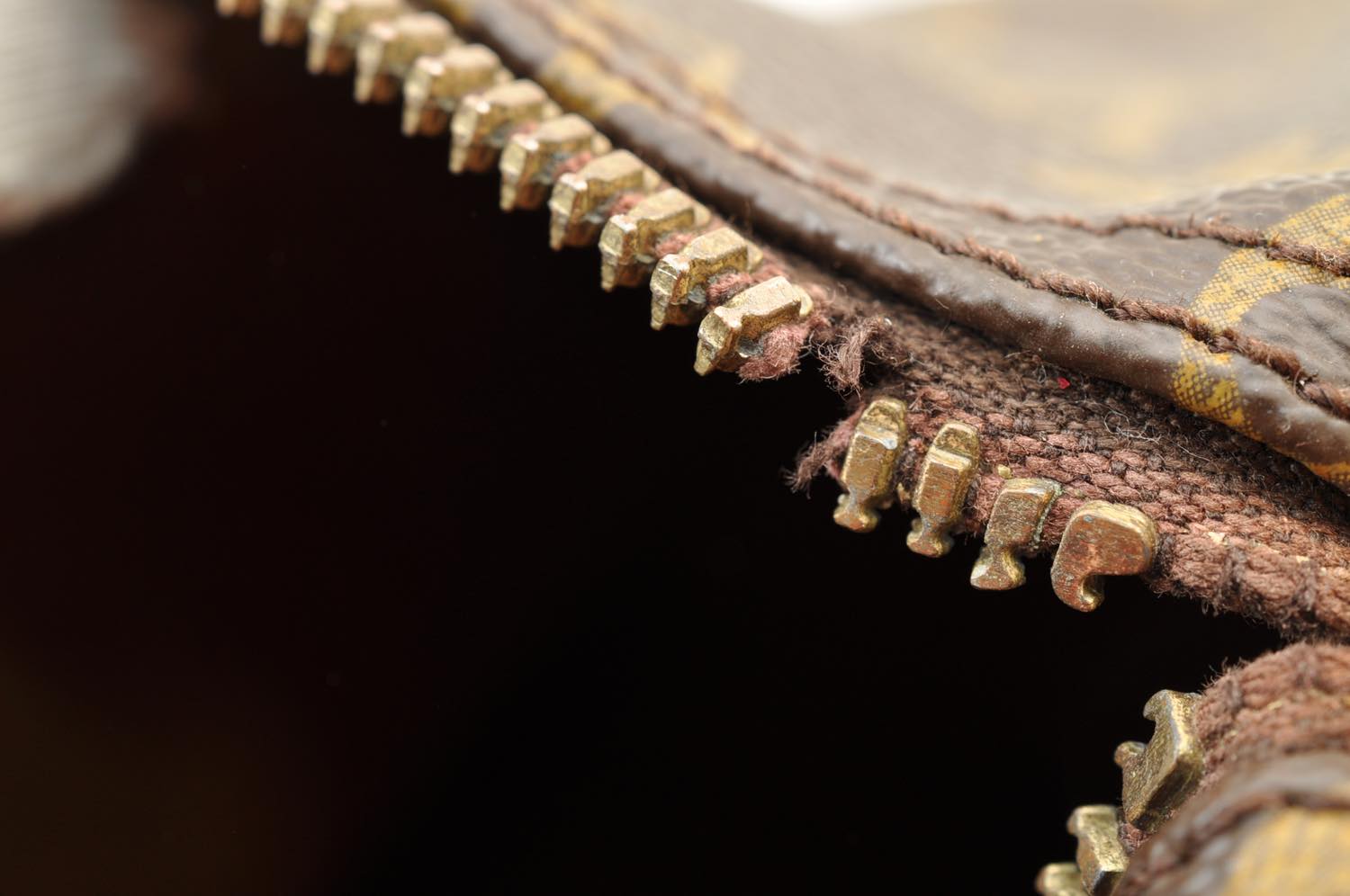 th_DSC_0353