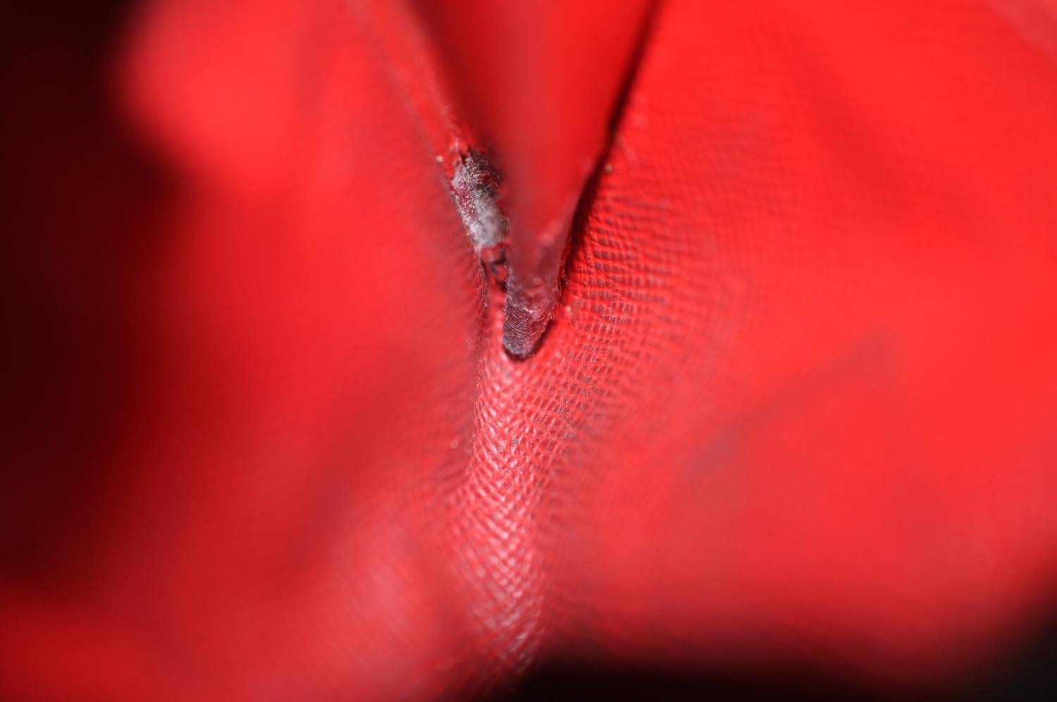 th_DSC_0441
