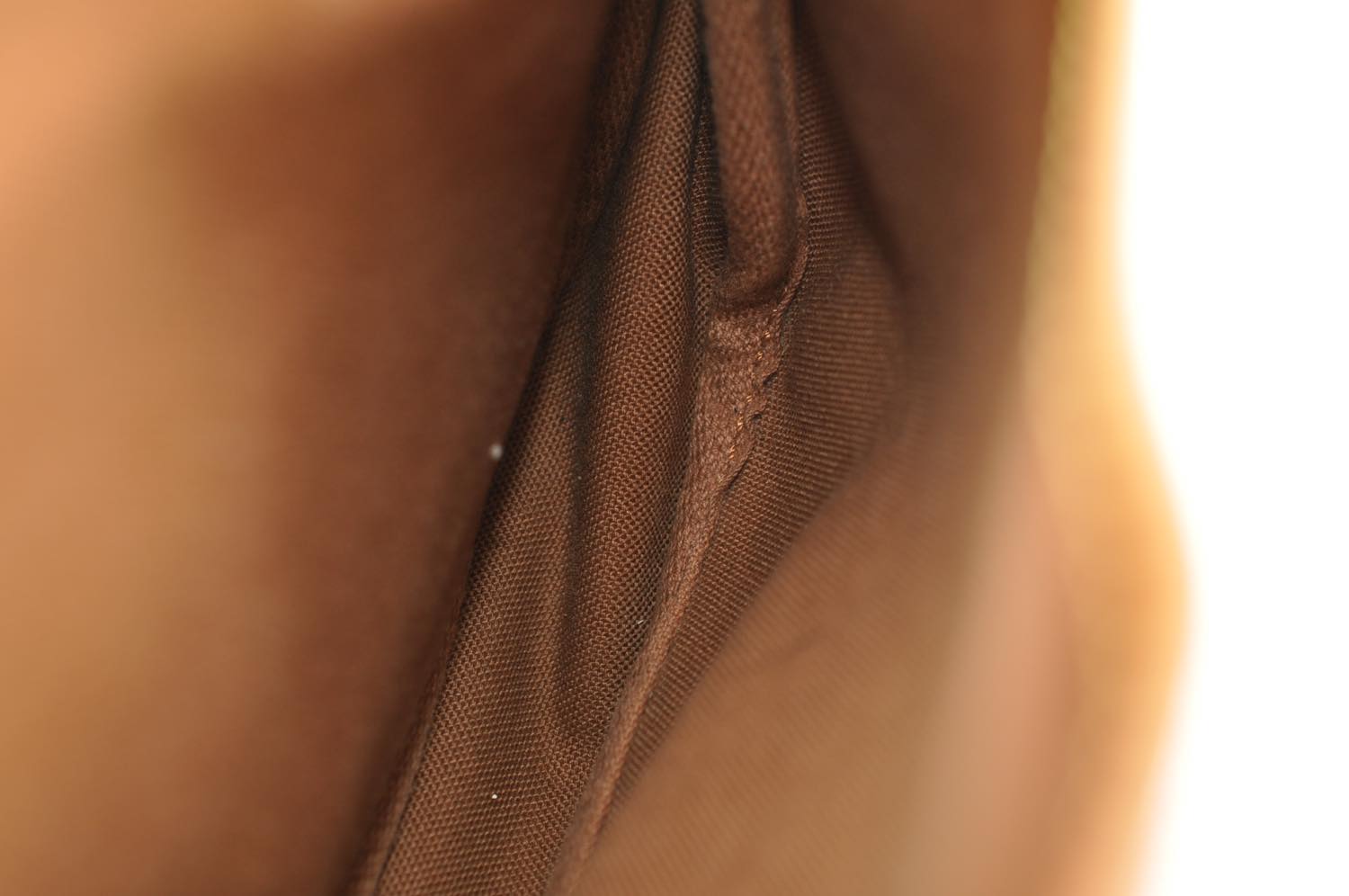 th_DSC_0016