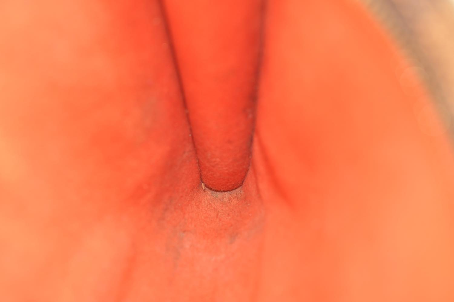 th_DSC_0139