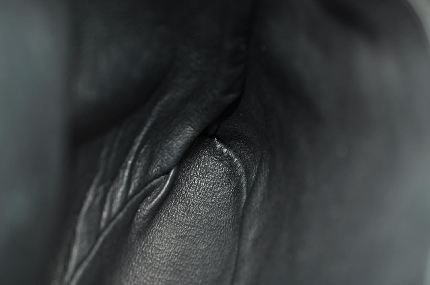 th_DSC_0353