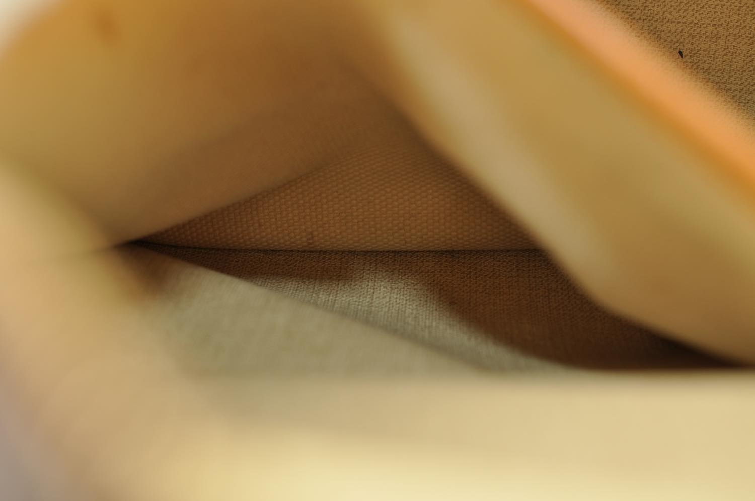 th_DSC_0365