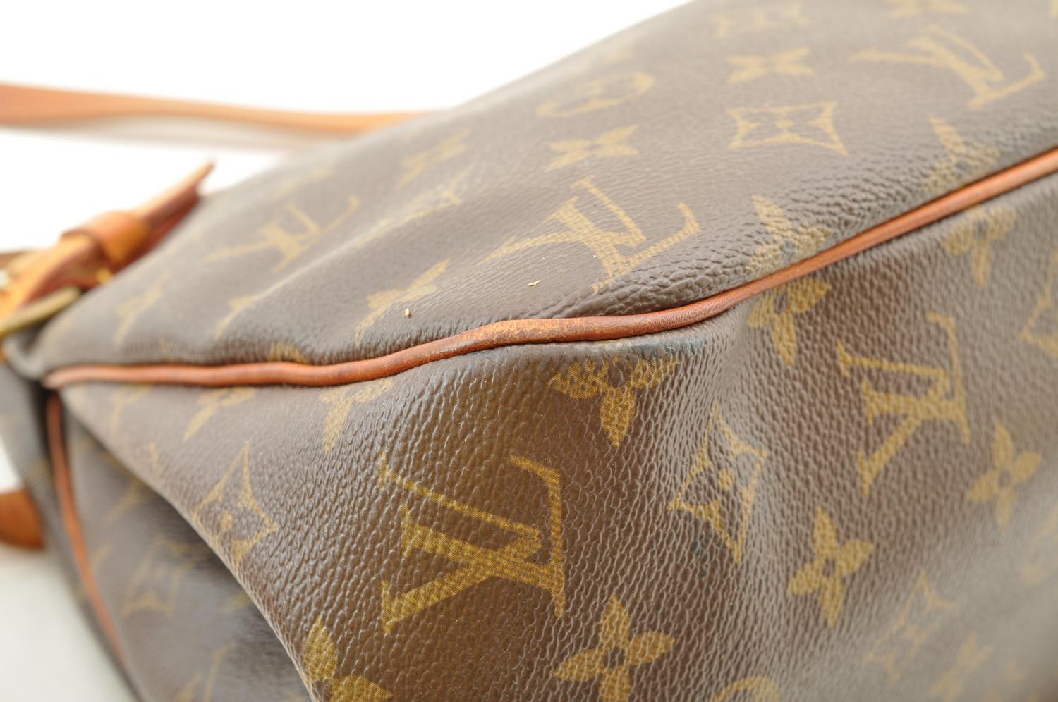 th_DSC_0367