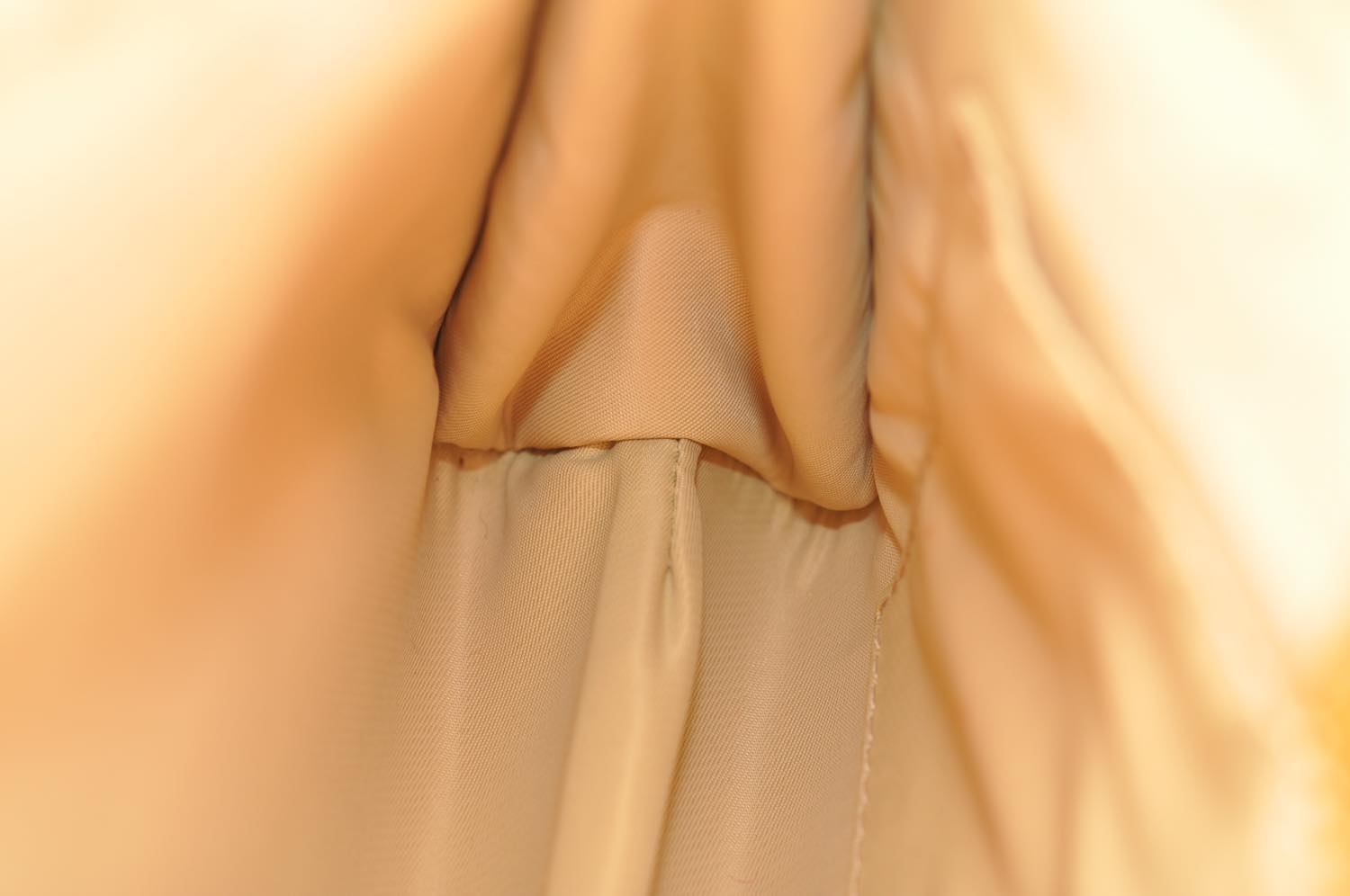 th_DSC_0369