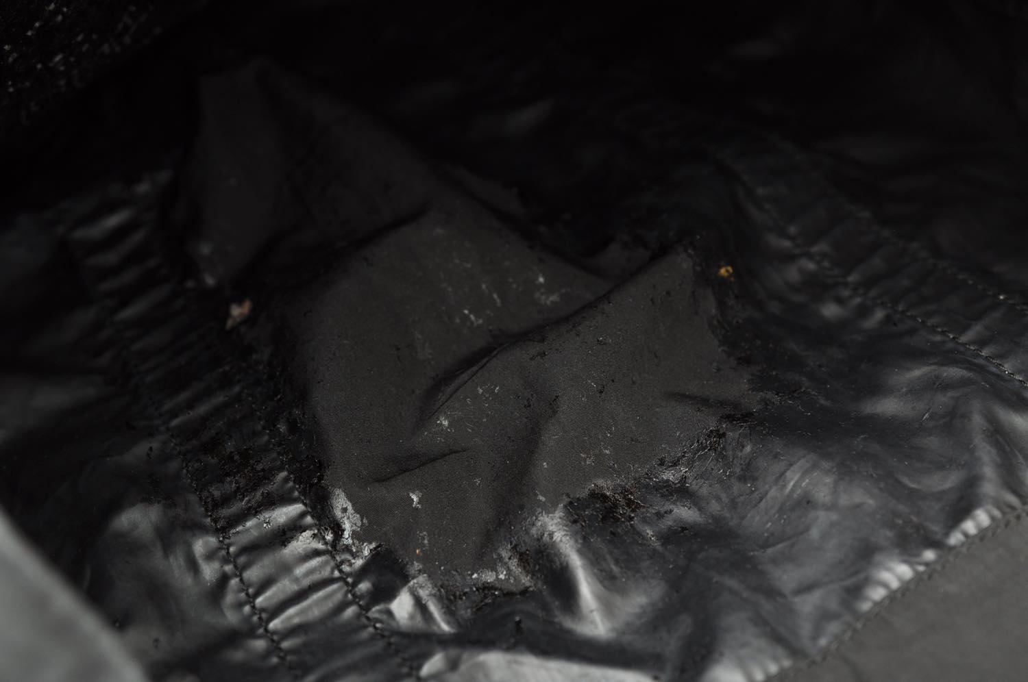th_DSC_0388