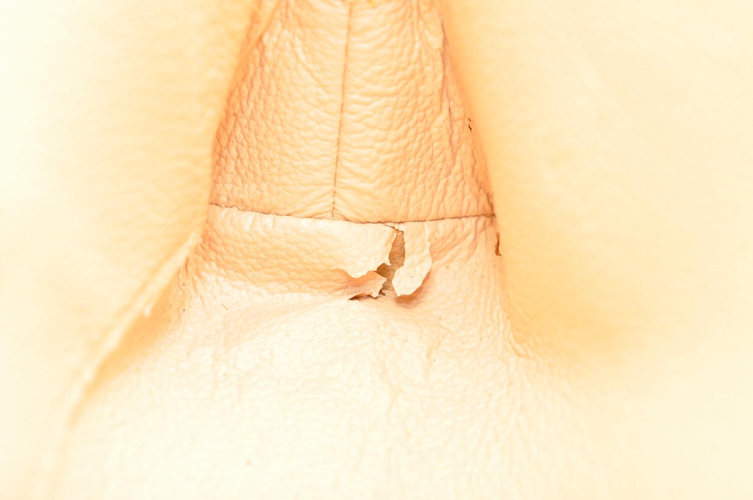 th_DSC_0395