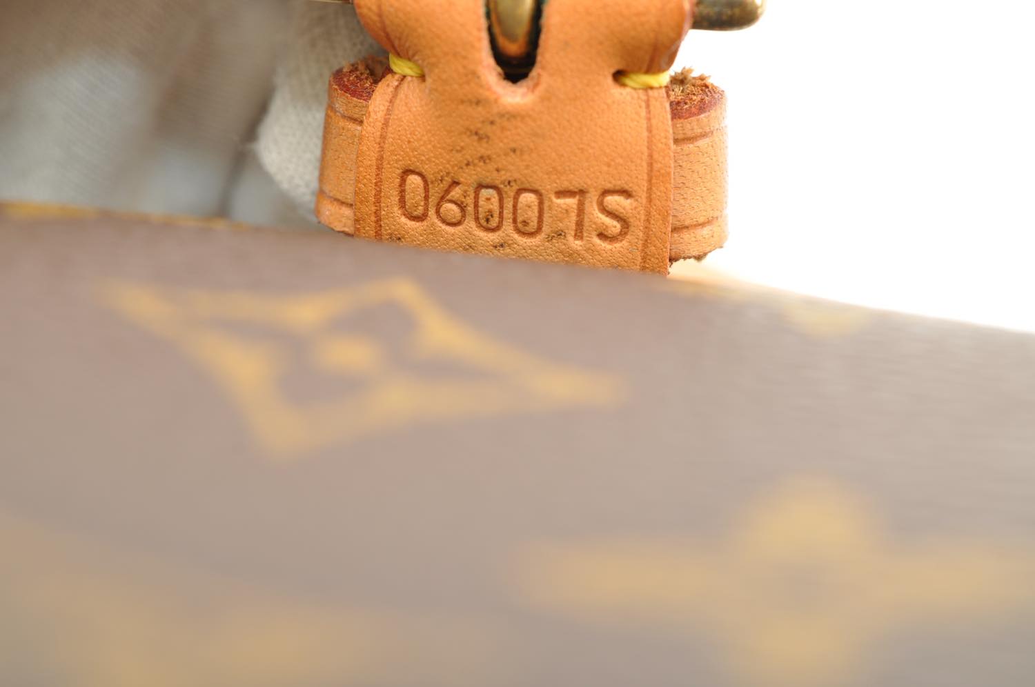 th_DSC_0398