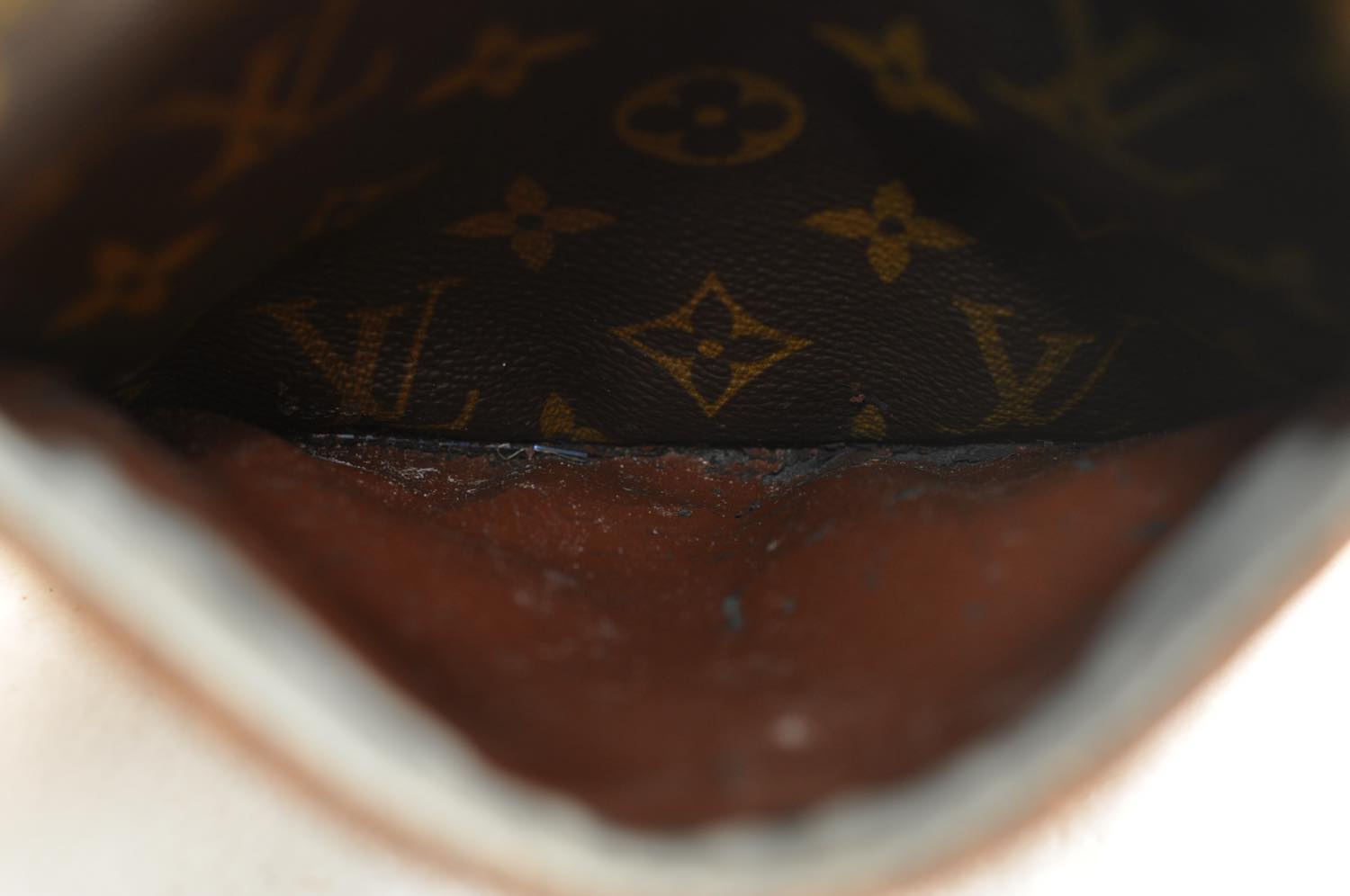 th_DSC_0414