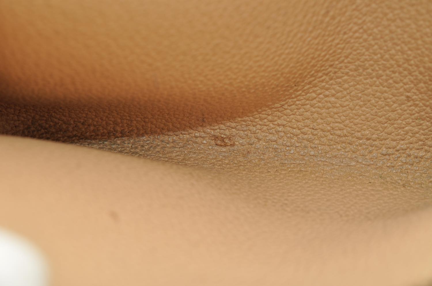 th_DSC_0523