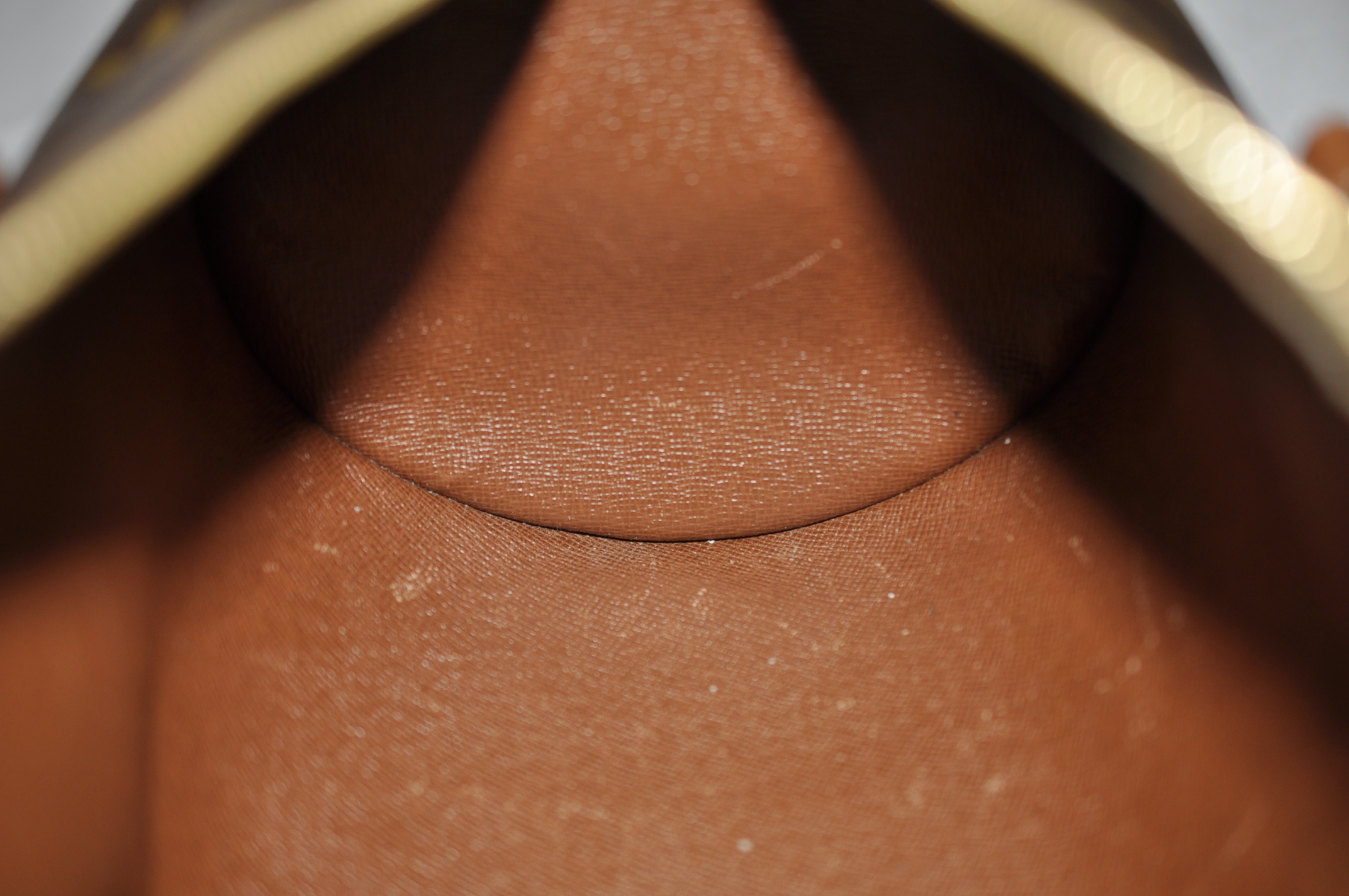 _DSC0113