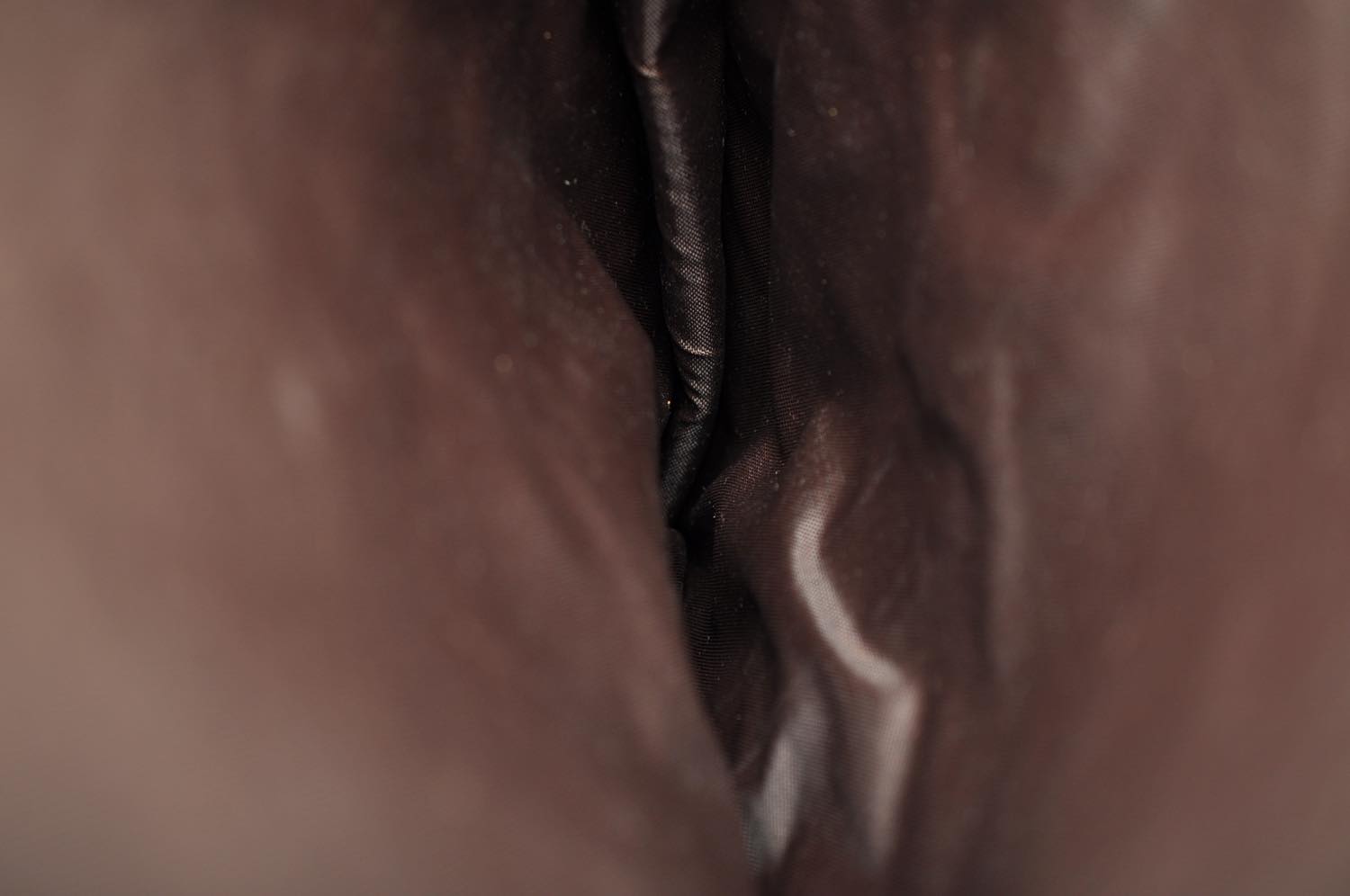 th_DSC_0084
