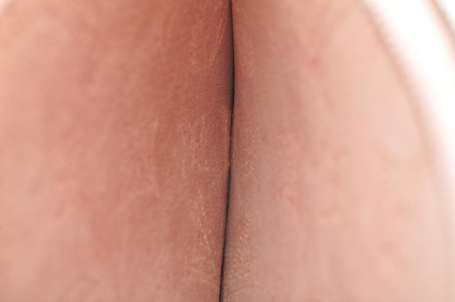 th_DSC_0126