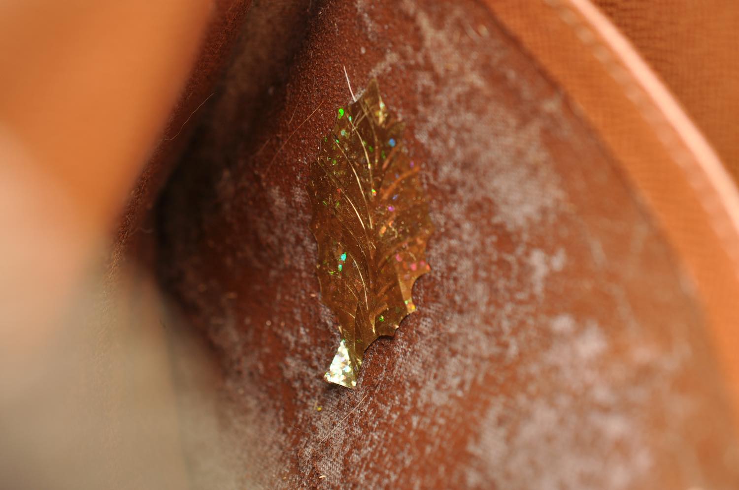 th_DSC_0126