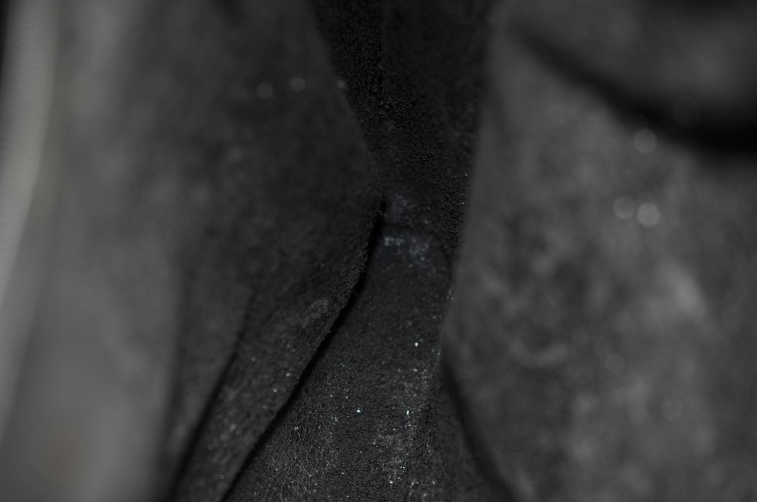 th_DSC_0222