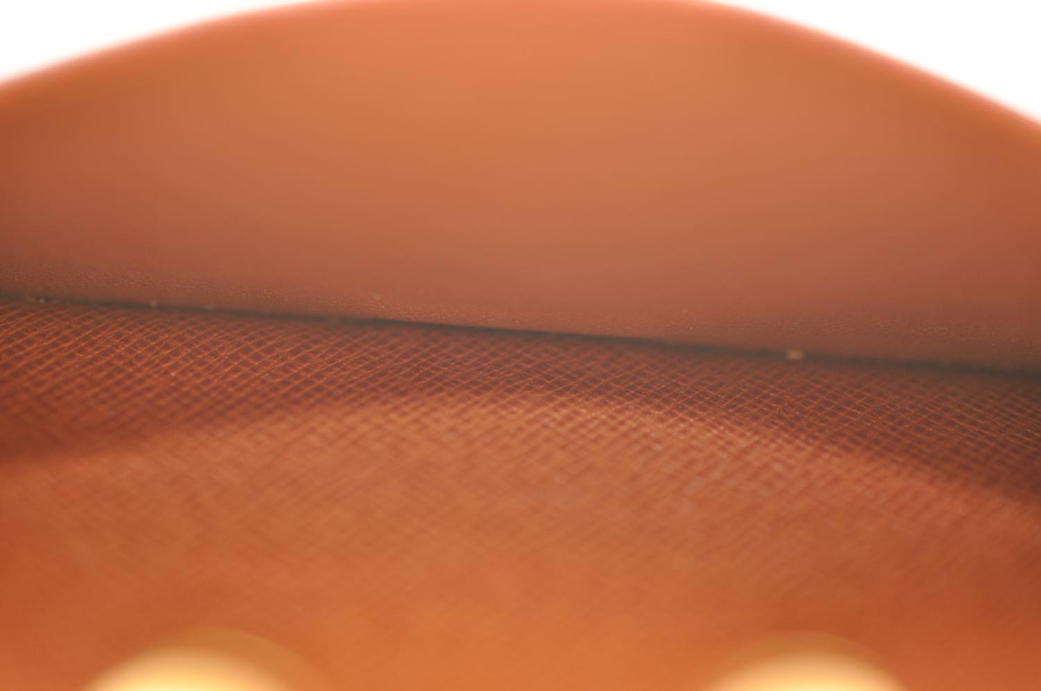 th_DSC_0342