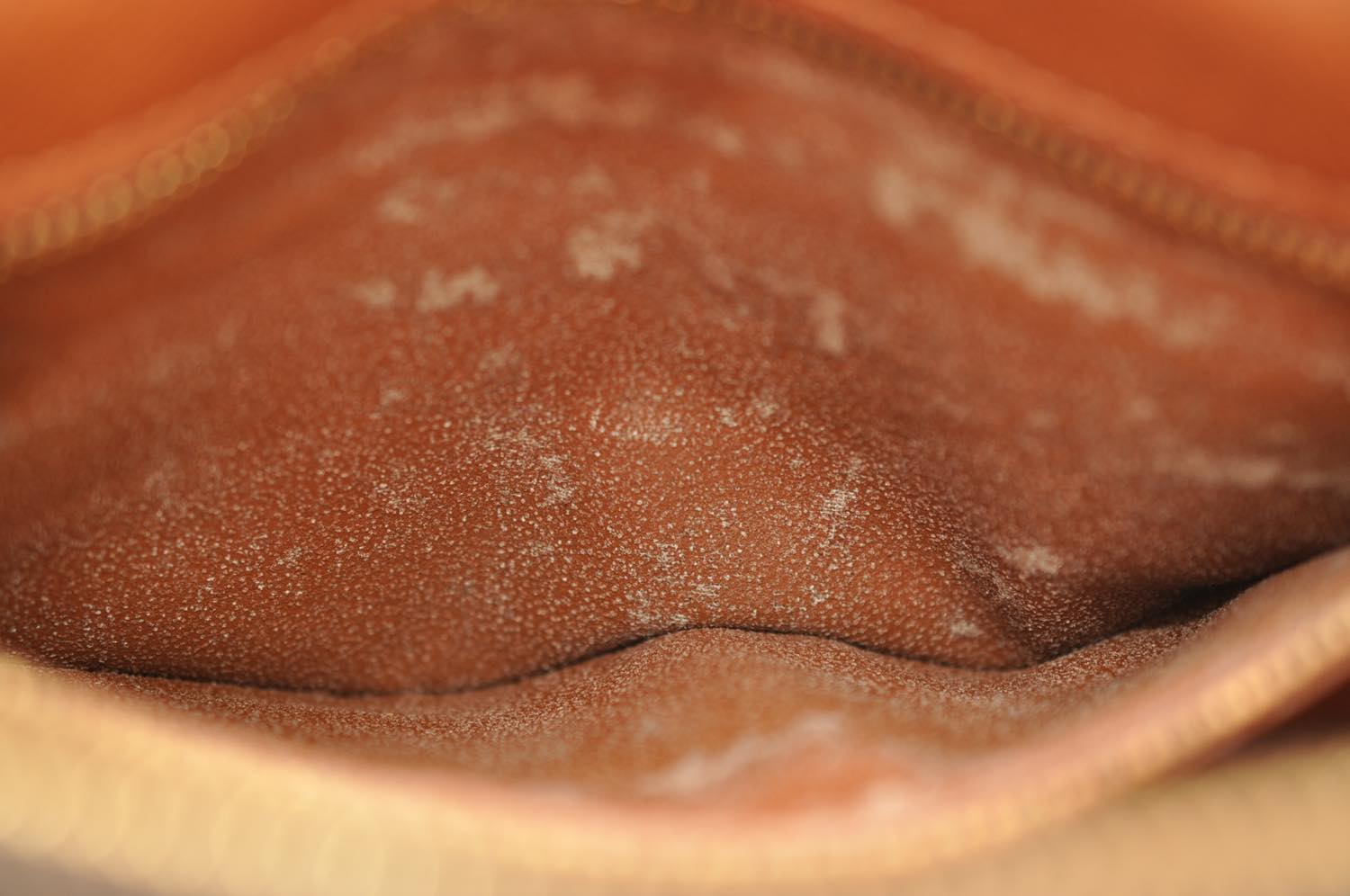 th_DSC_0365